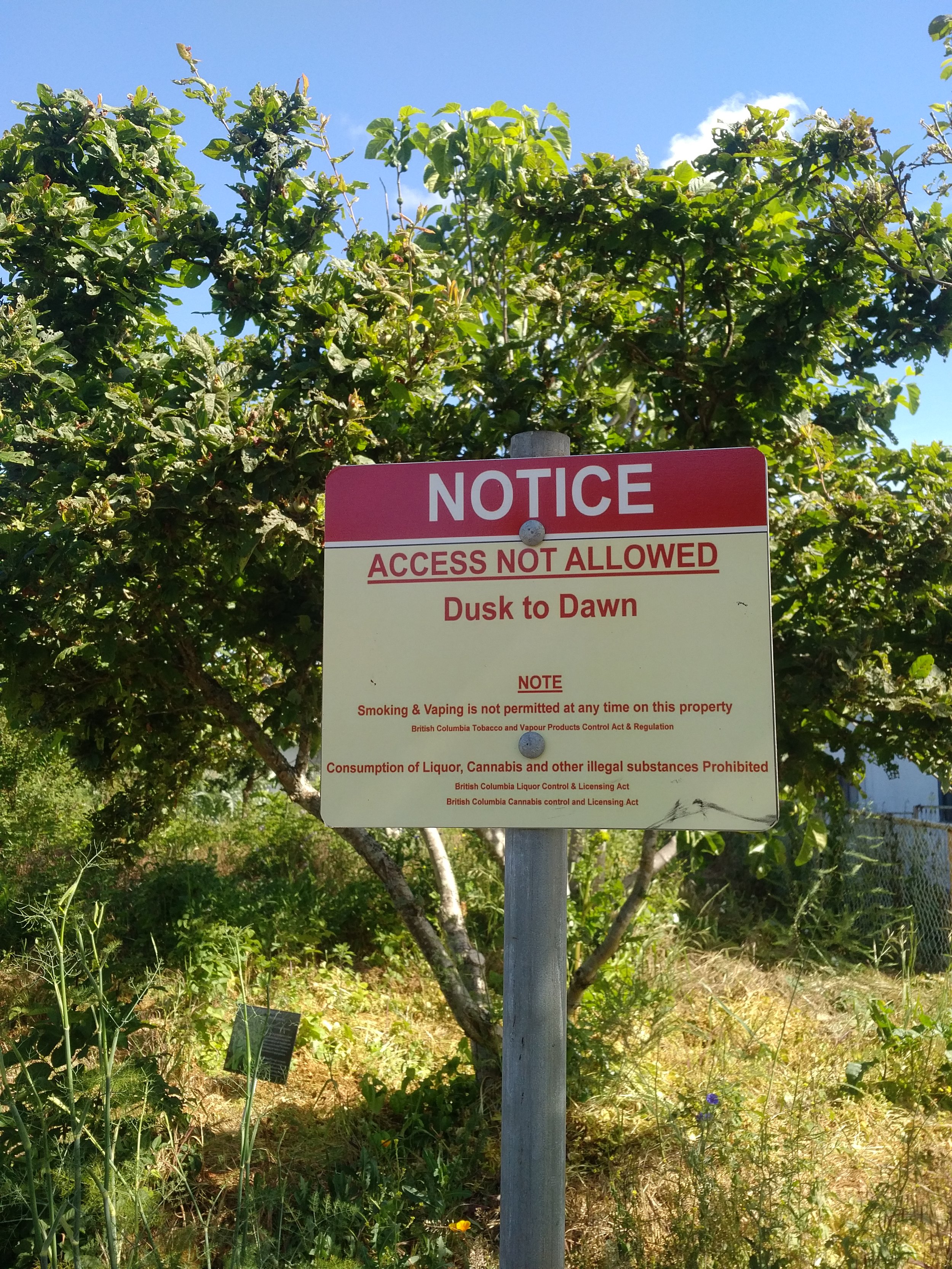 No Access.jpg