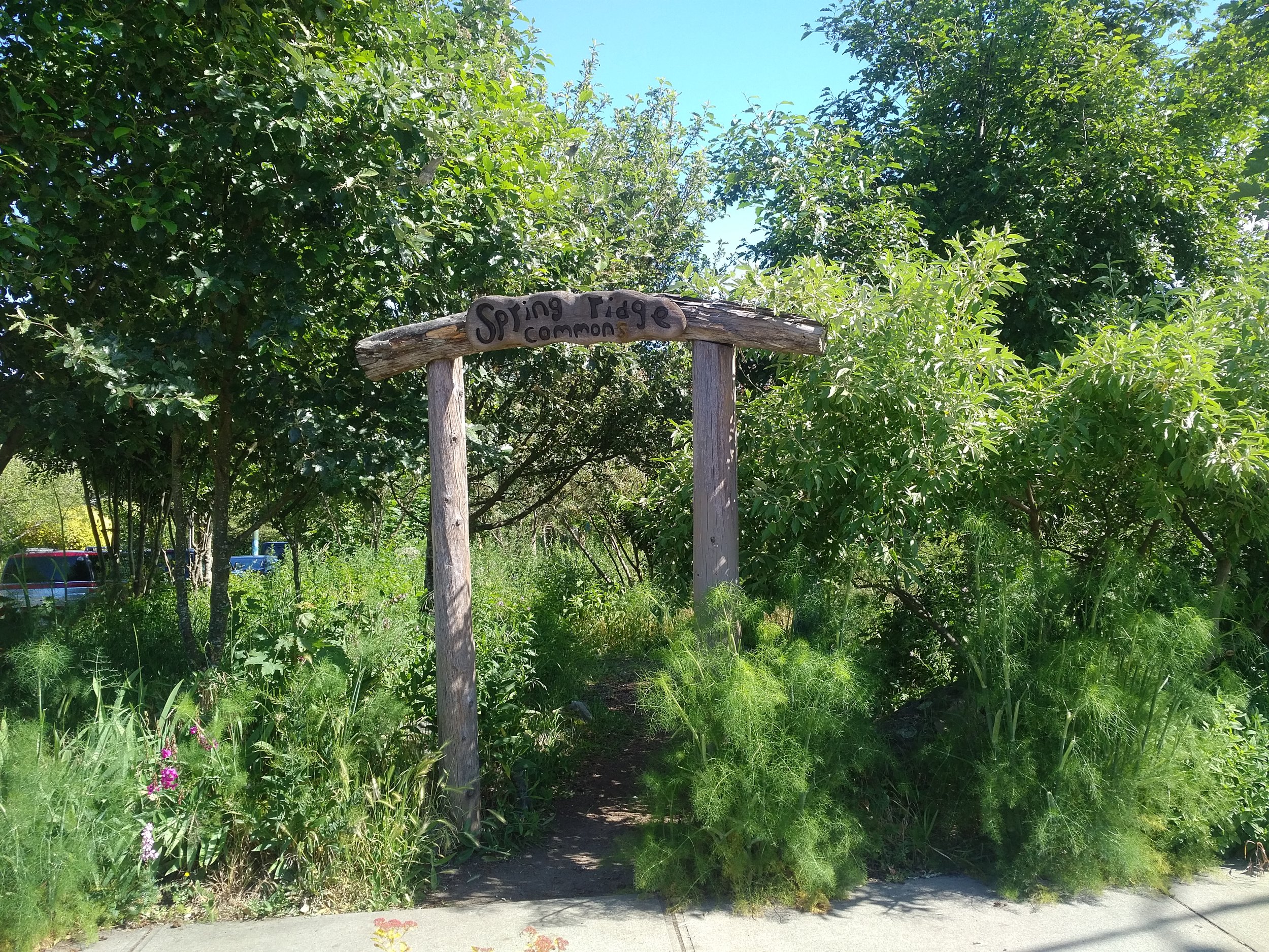 Spring Ridge Commons Entrance.jpg