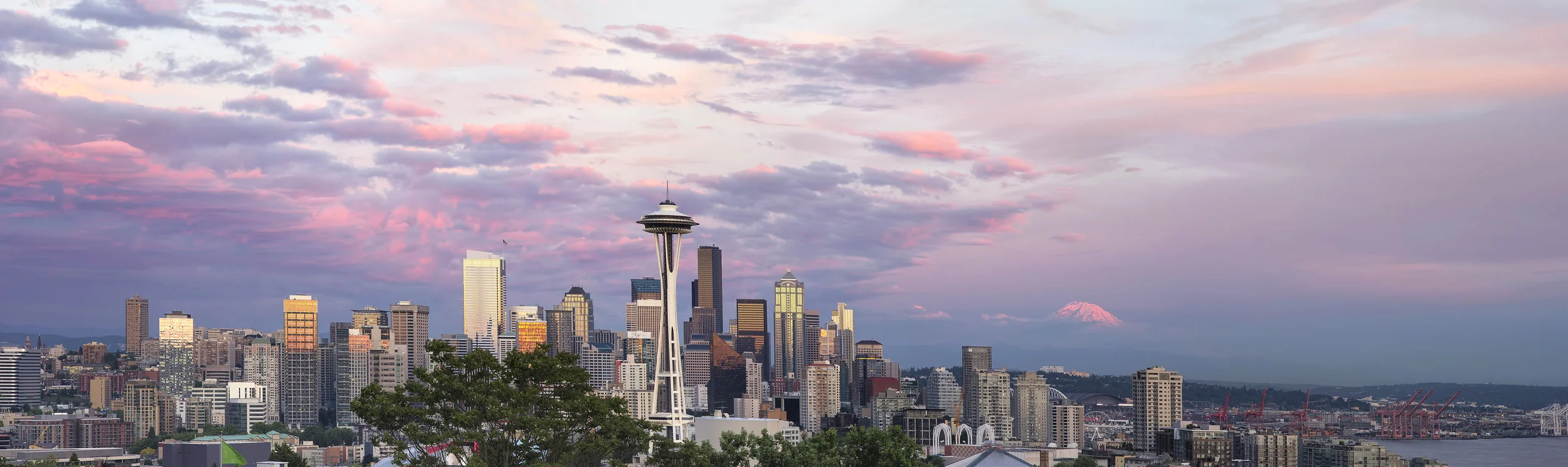 seattle skyline.jpeg