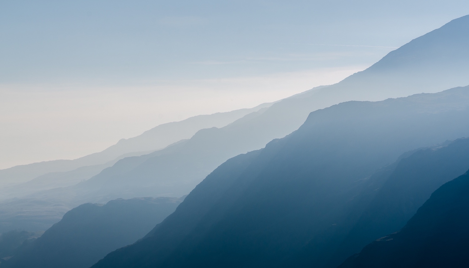 mth siloouettes copy.jpeg