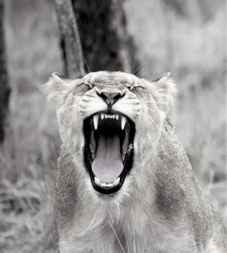 A Time to Get Angry: Where to Start if You don't know Where to Start