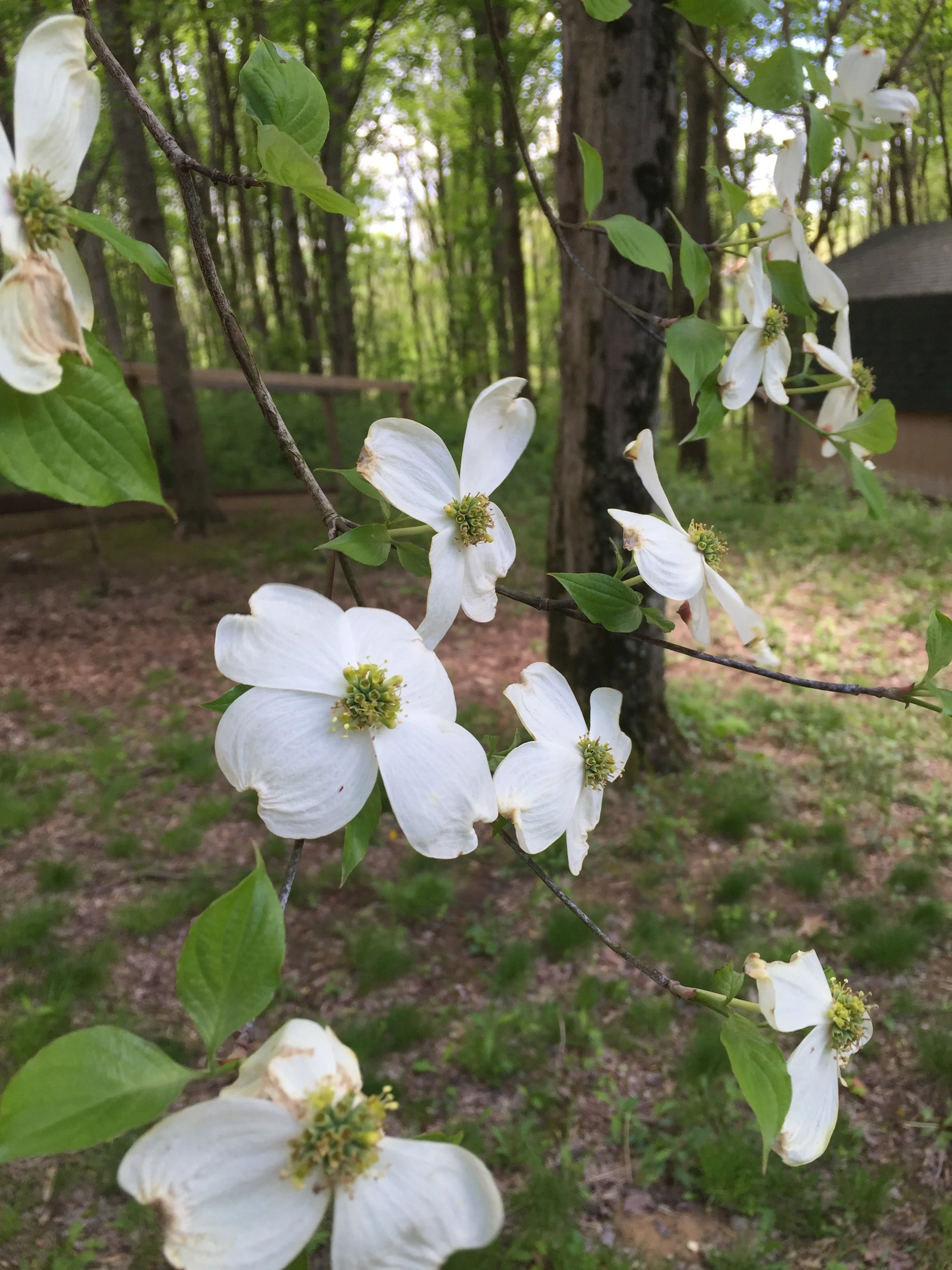 Minimalism & Sustainability: Part One - Setting Up The Home & Business For Environmental Success