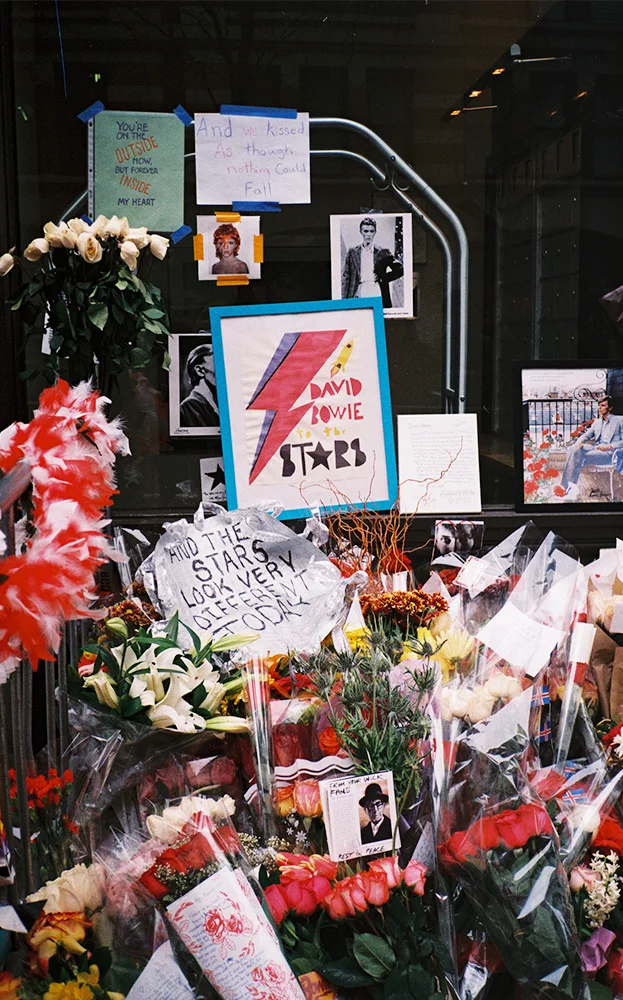 bowie.jpg