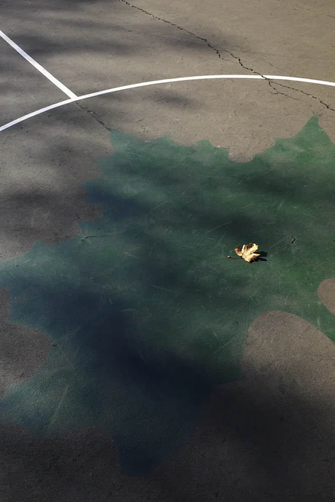 Web_Scott-Simpson_ 10.jpg