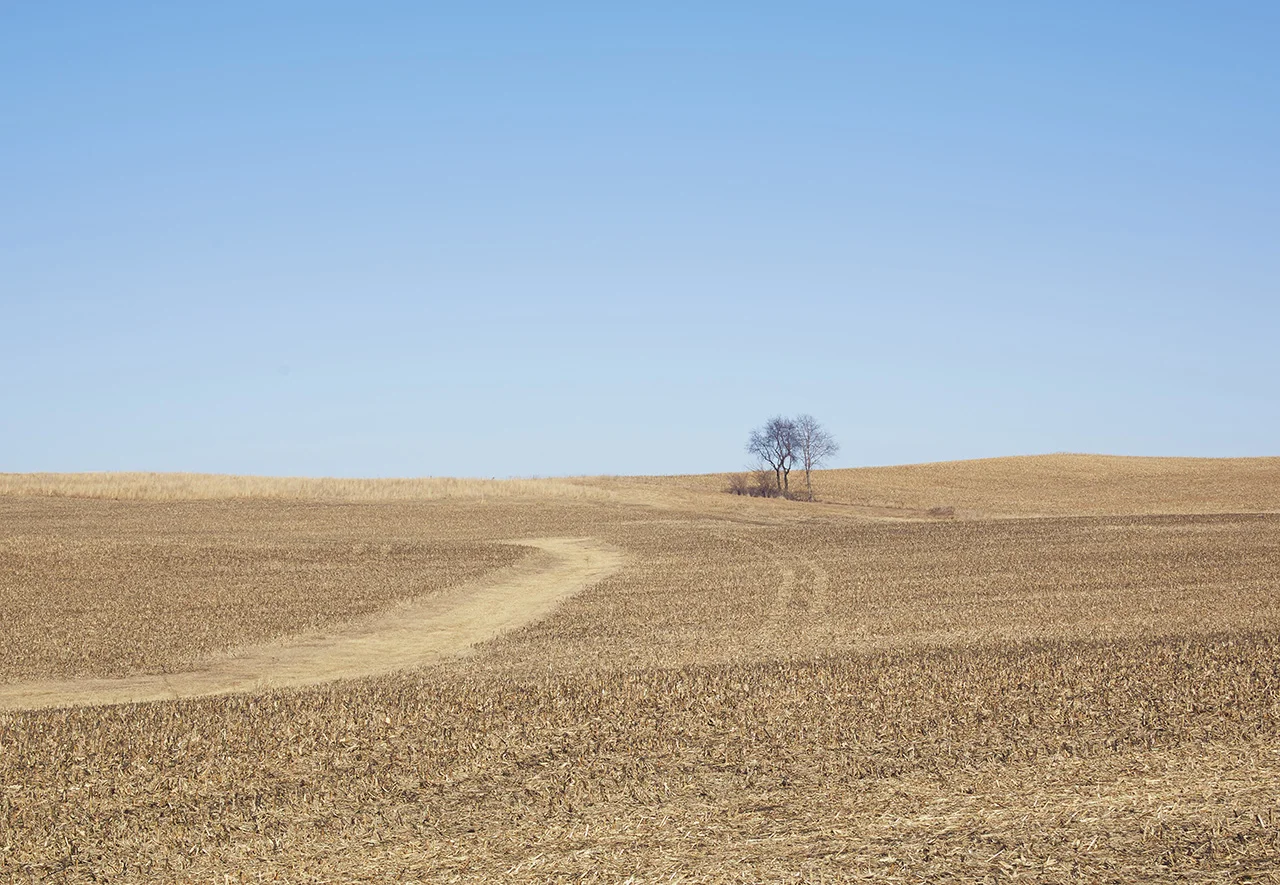 Iowa_Feb_037.jpg