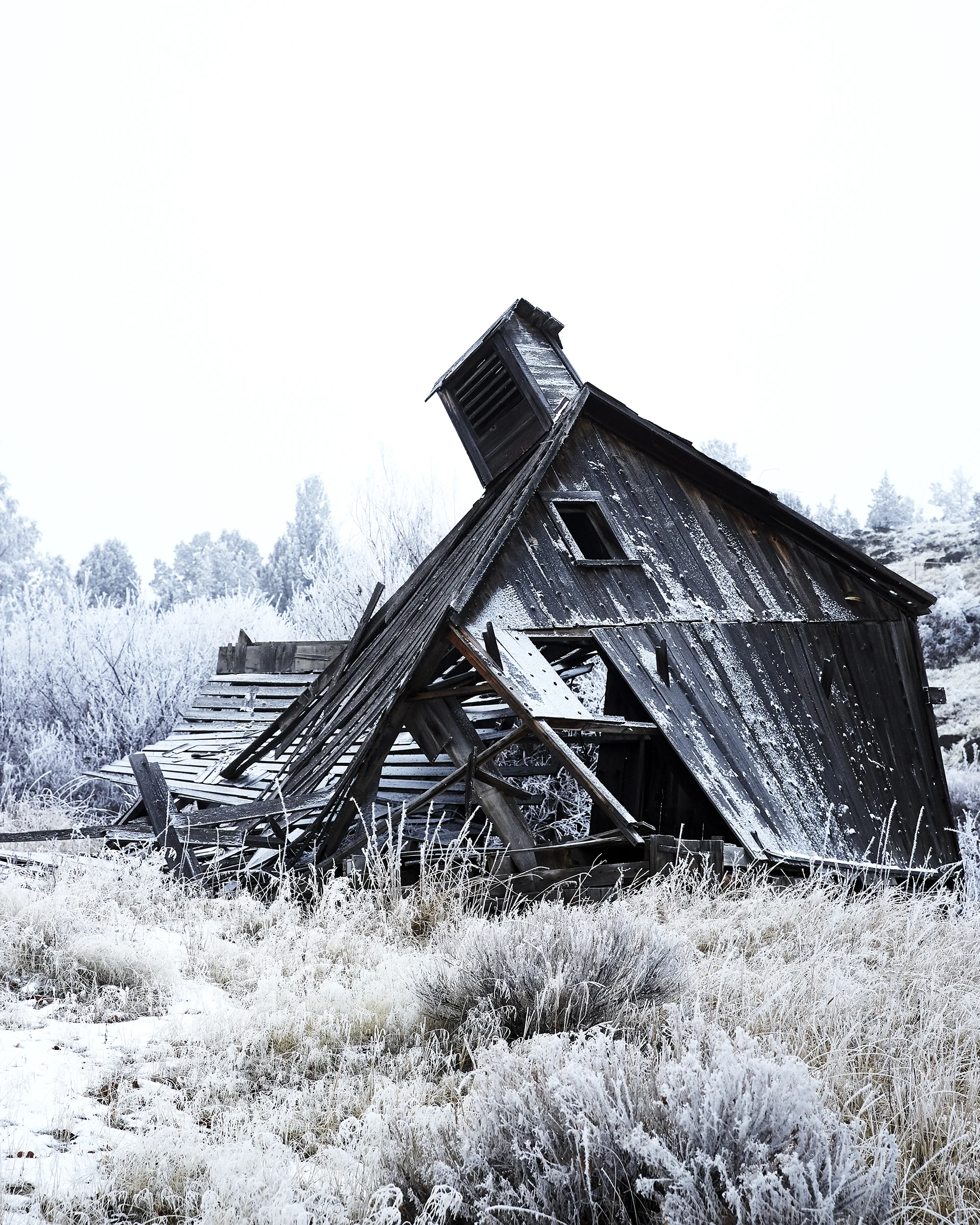 January 2019_672.jpg