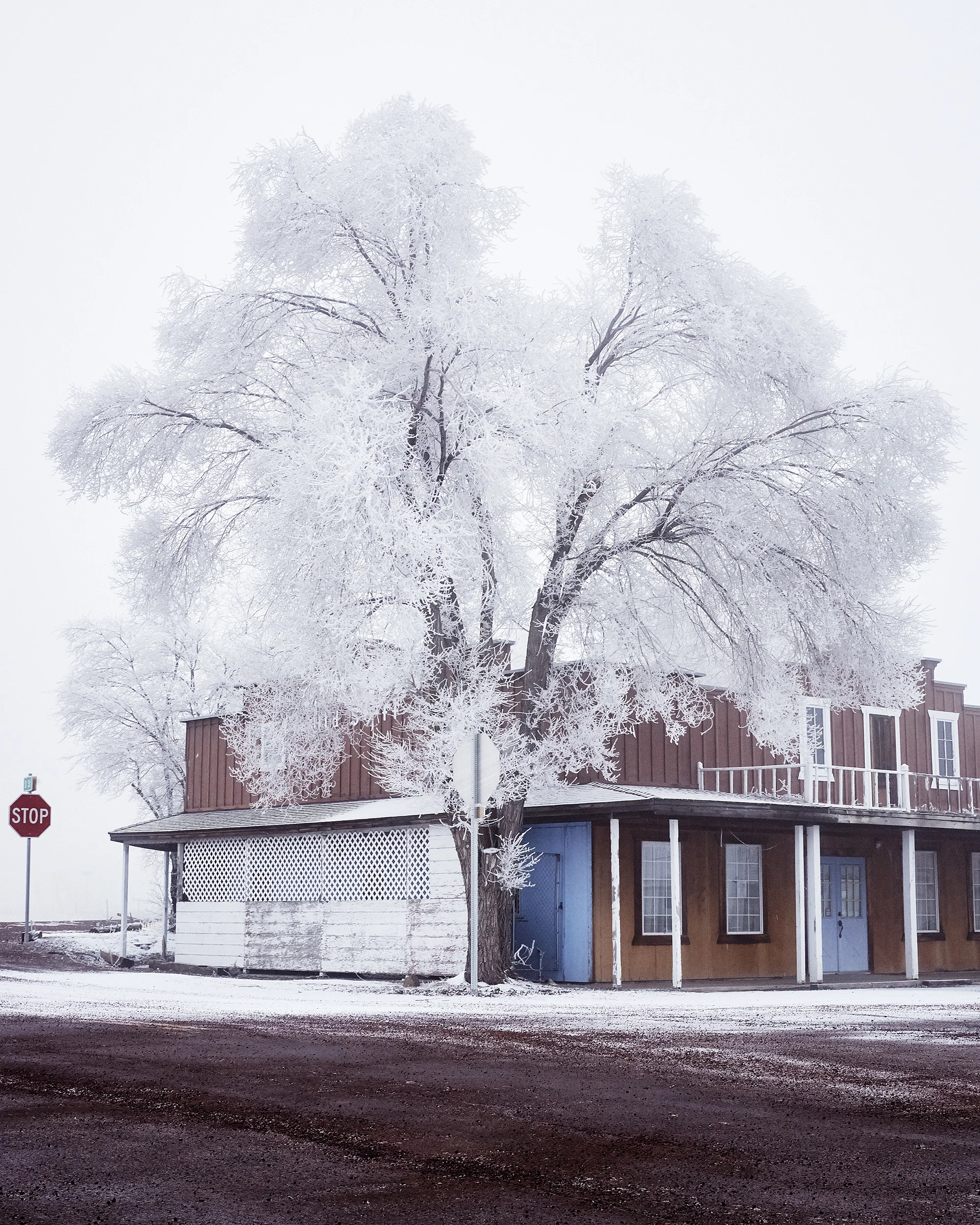 January 2019_615.jpg