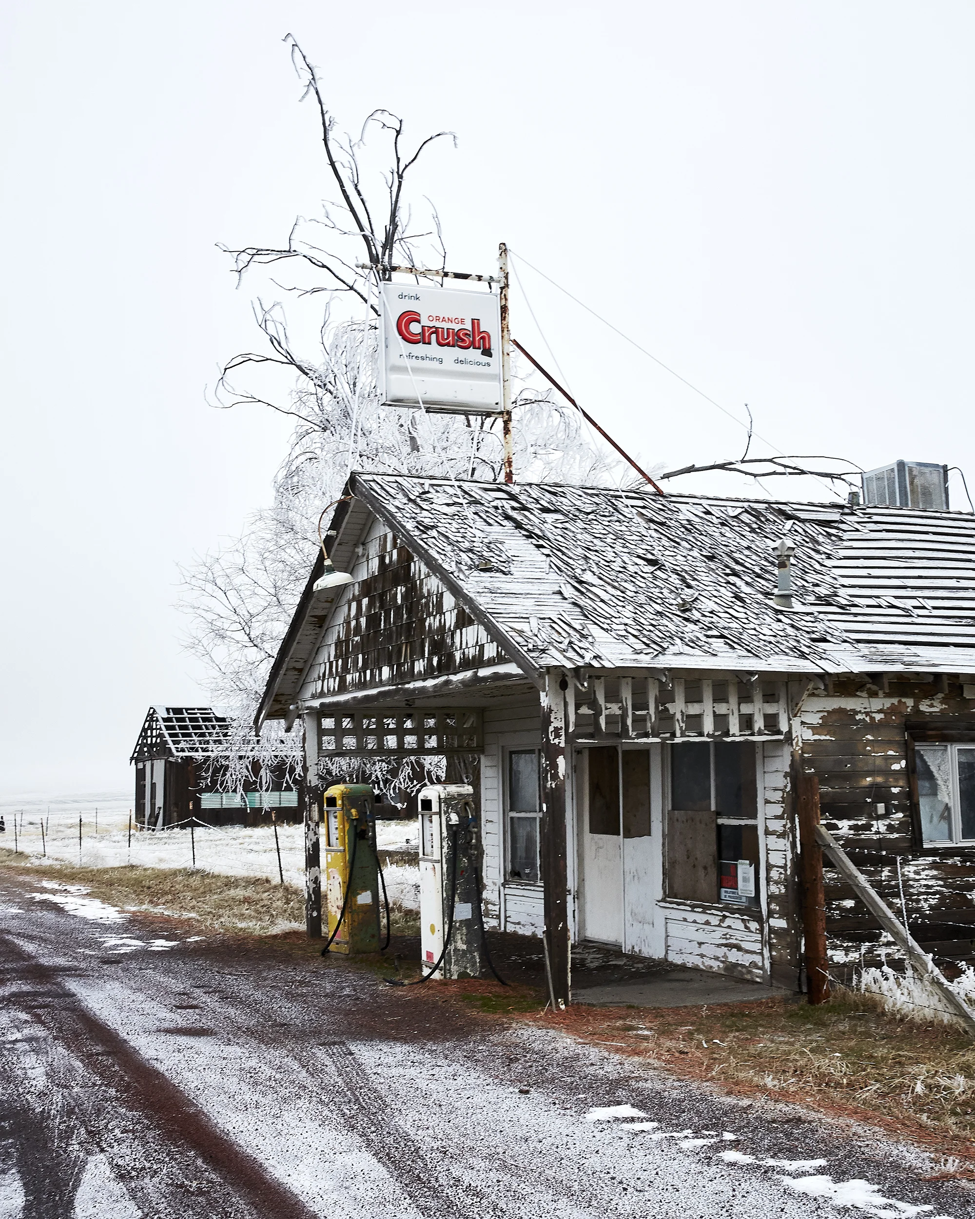 January 2019_415.jpg