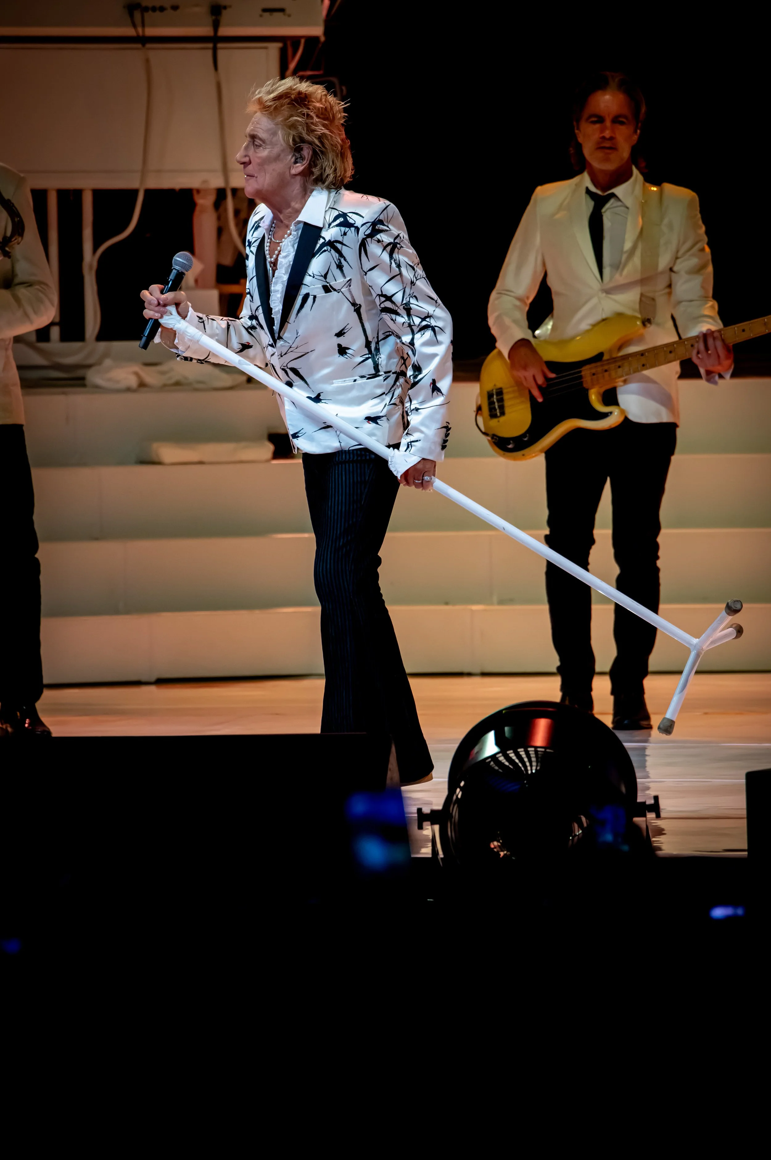 Rod Stewart_0105_150-600.jpg