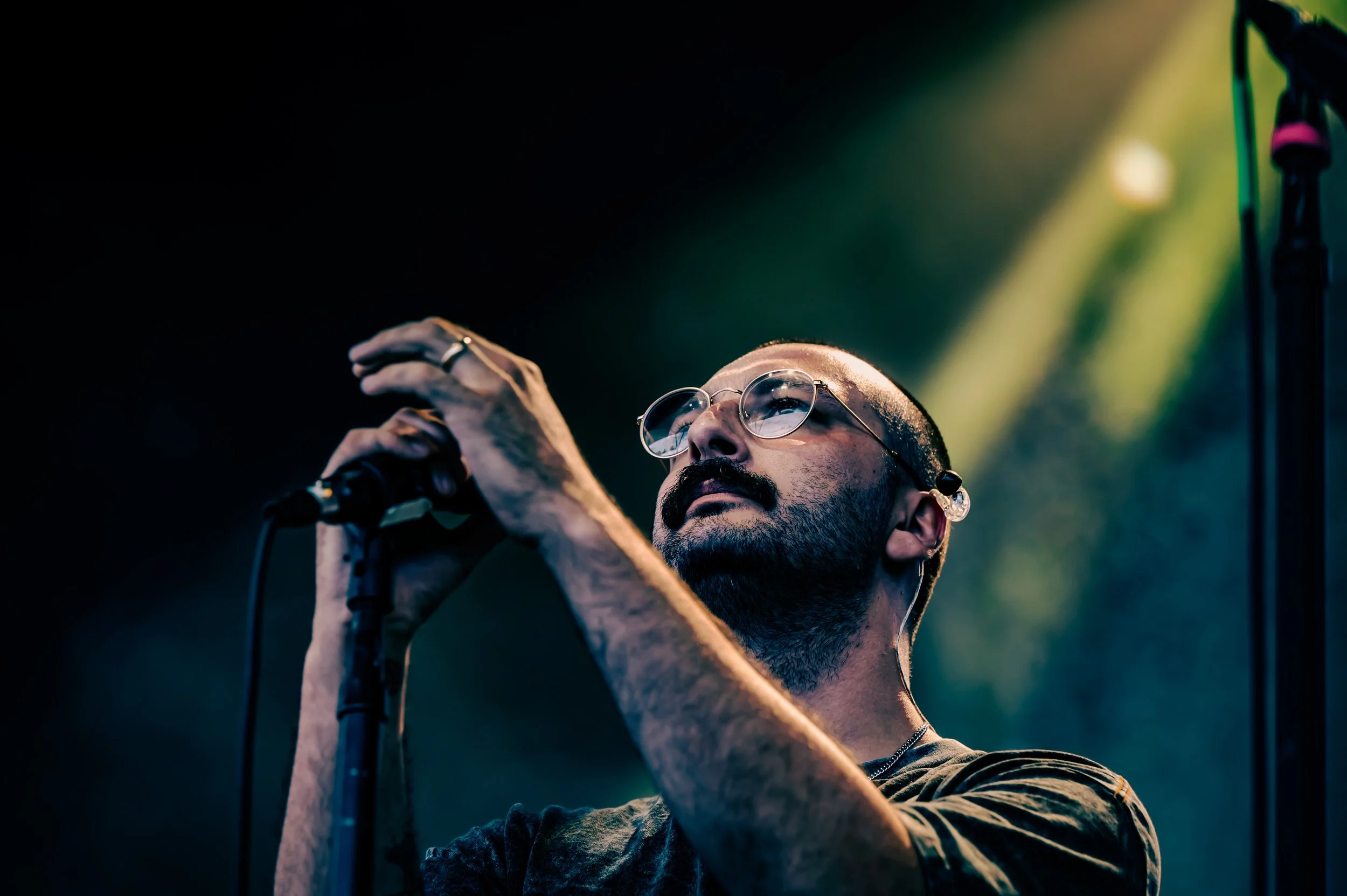Foxing_0037_70-200.jpg