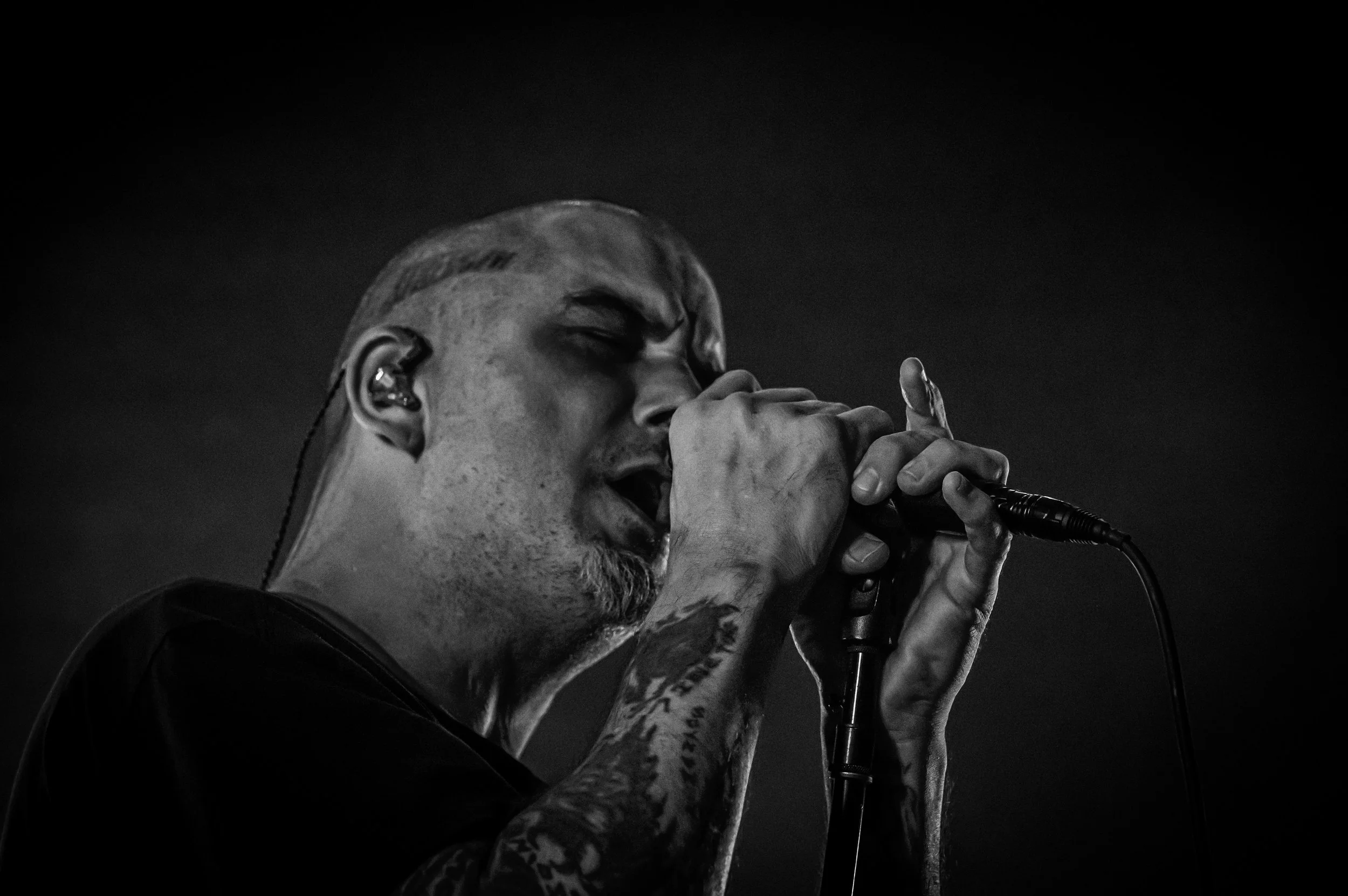 Pantera_00002_70-200.jpg