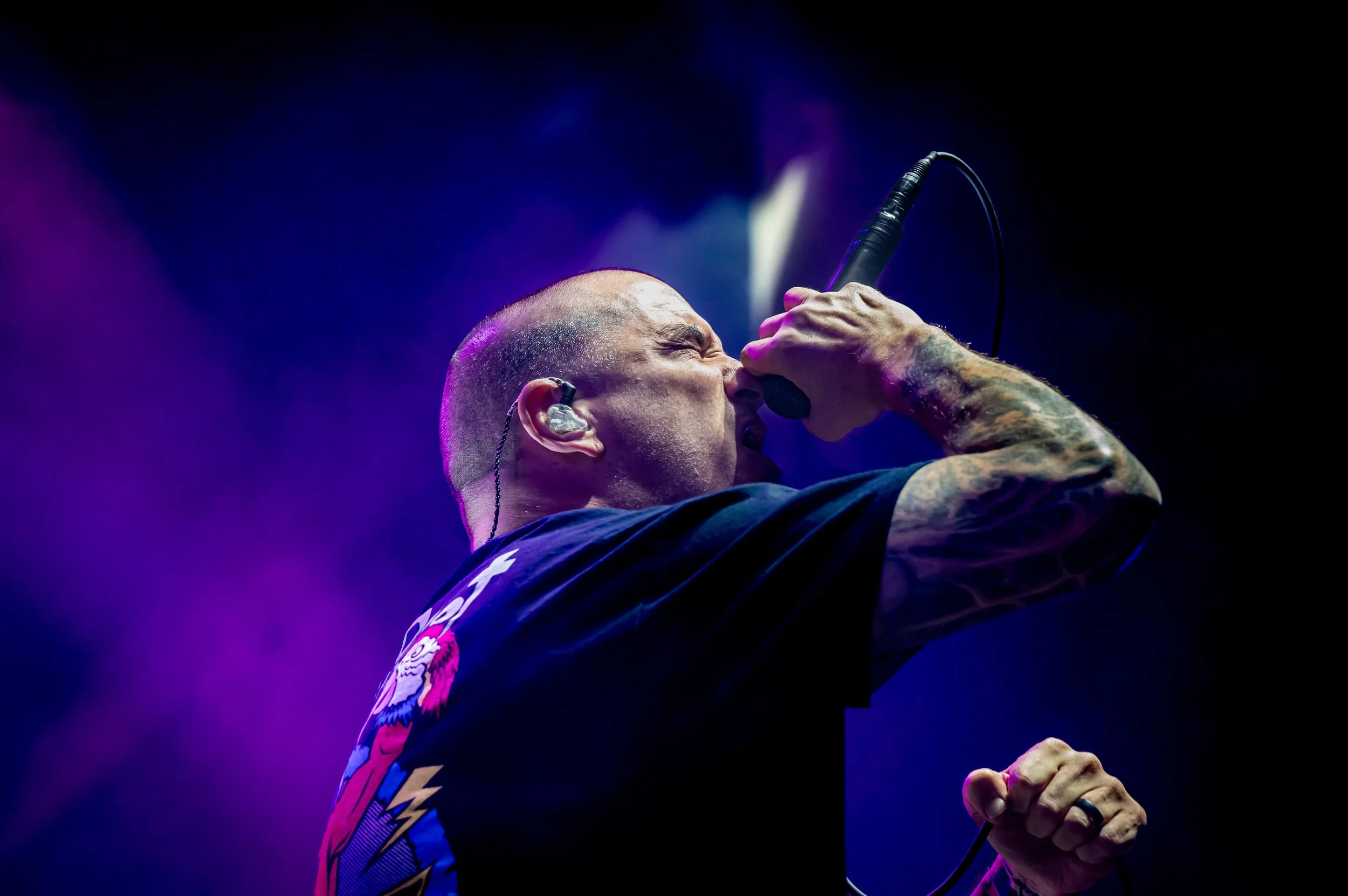 Pantera_00026_70-200.jpg