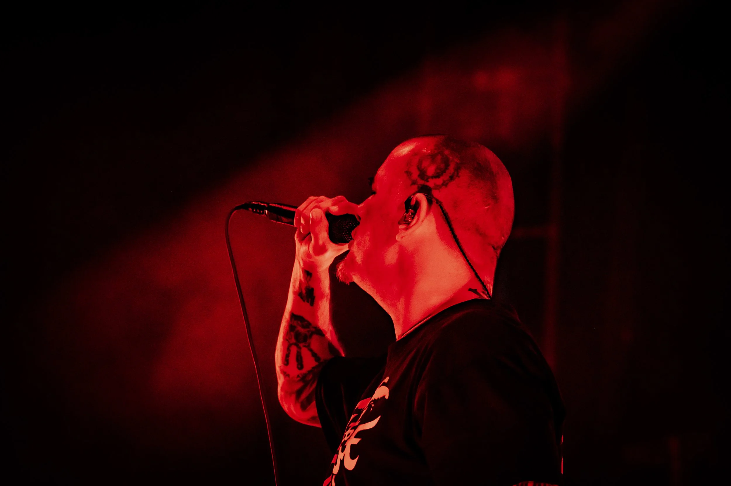 Pantera_0032_70-200.jpg