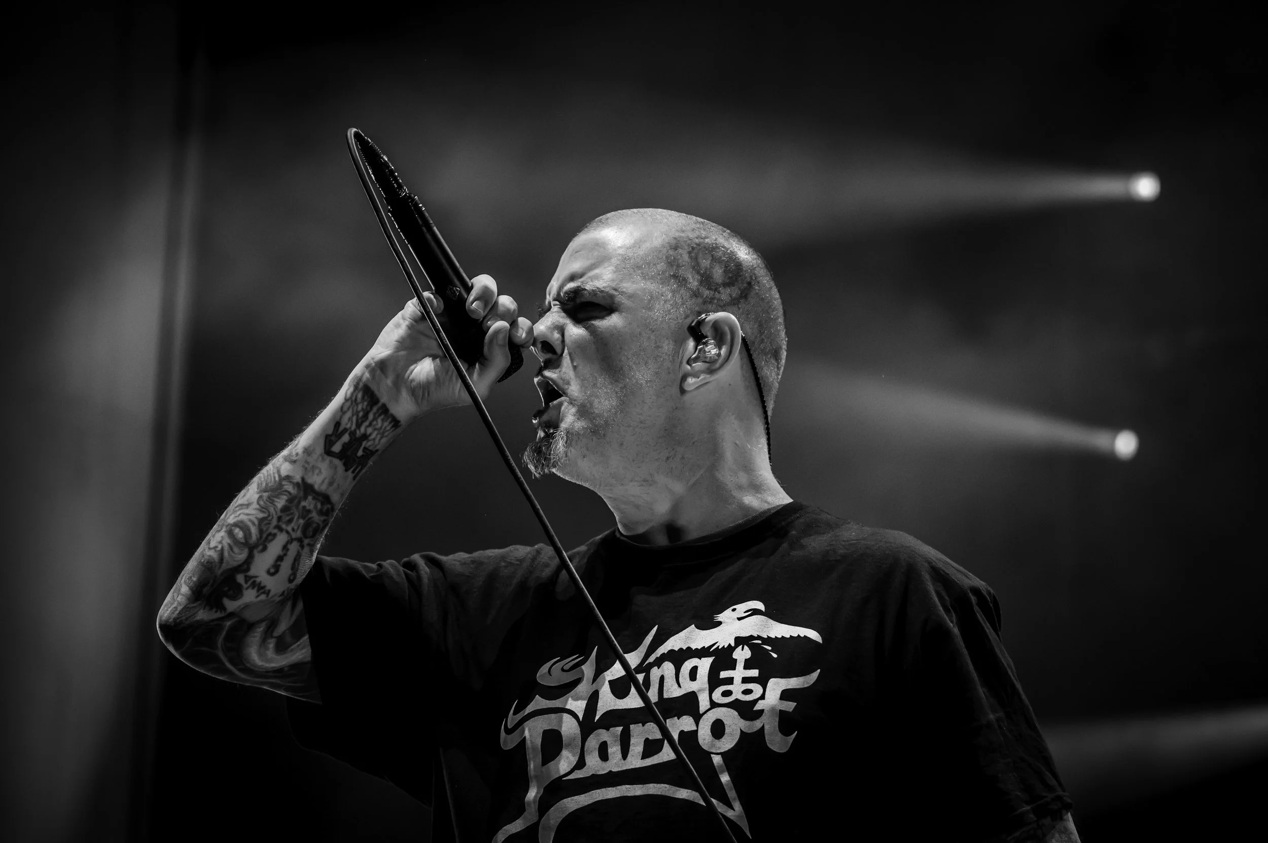 Pantera_0074_70-200.jpg