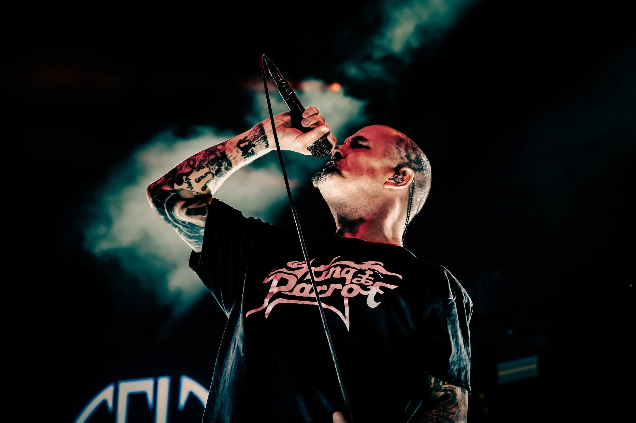 Pantera_0084_70-200.jpg