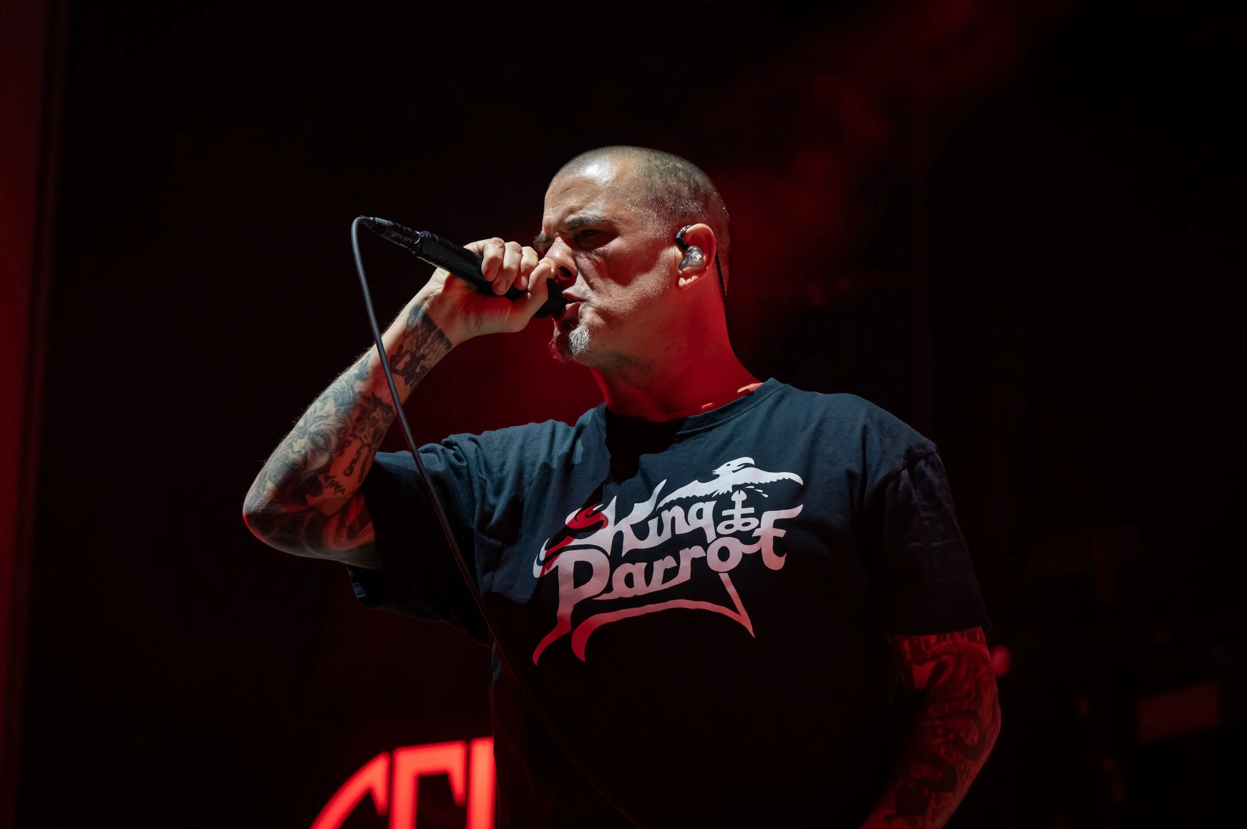 Pantera_0090_70-200.jpg