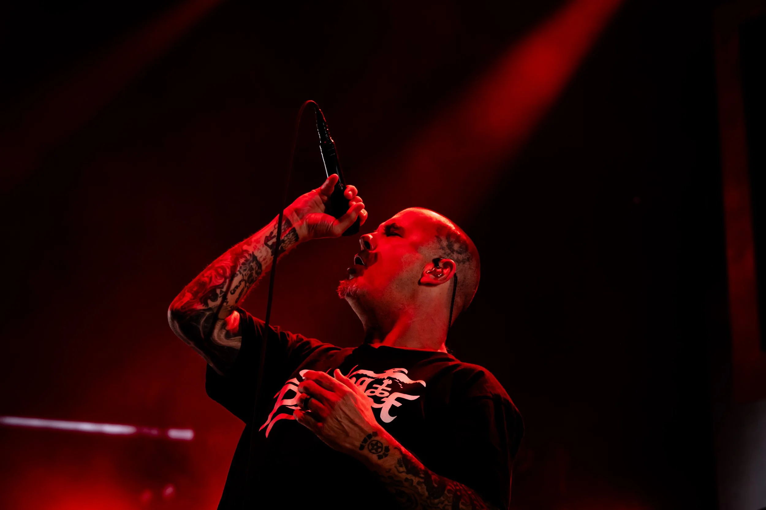 Pantera_0148_70-200.jpg