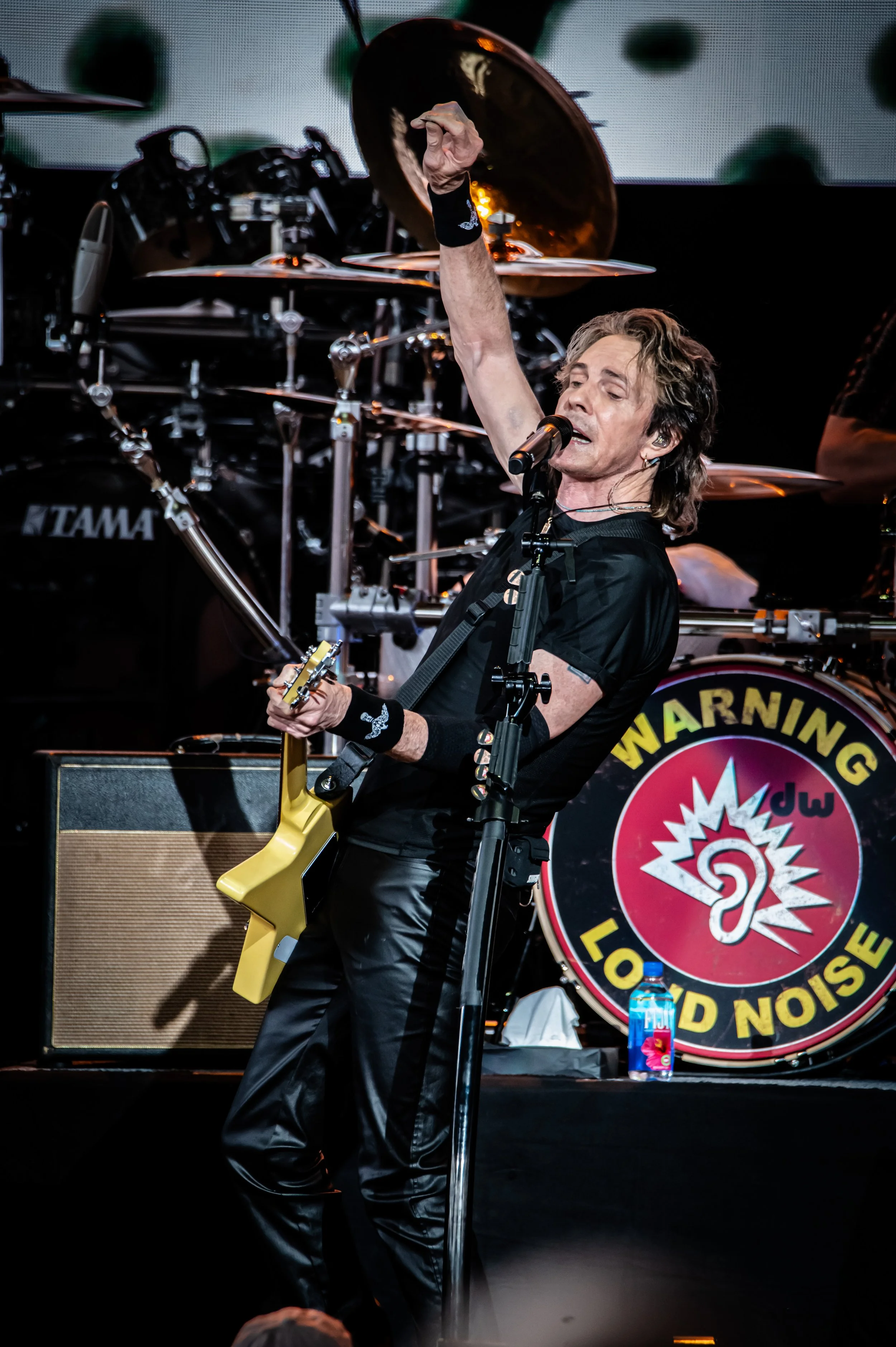 Rick Springfield_0688_150-600.jpg