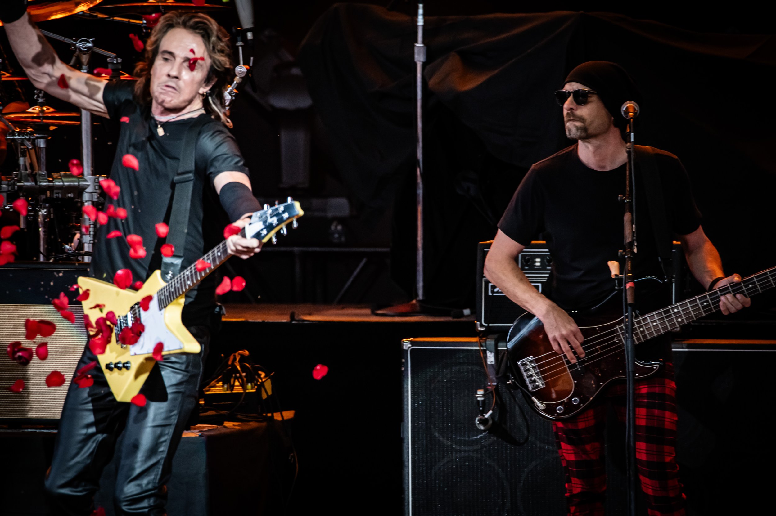 Rick Springfield_0741_150-600.jpg