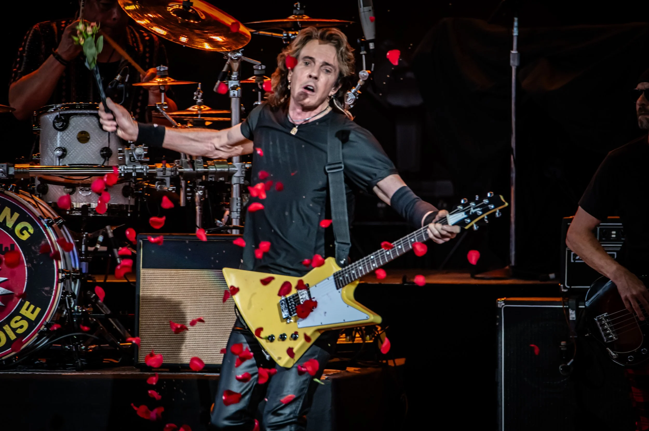 Rick Springfield_0742_150-600.jpg