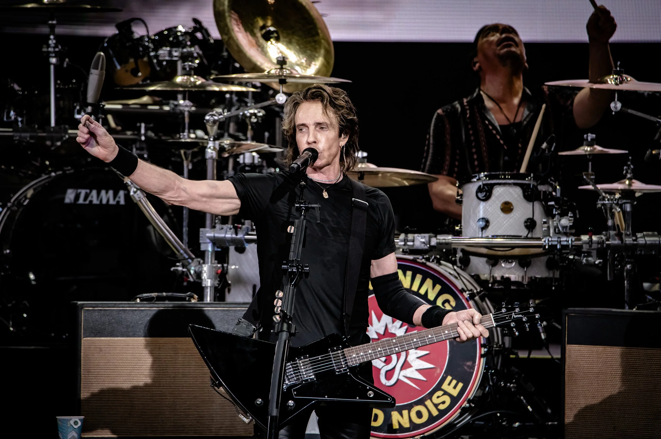 Rick Springfield_0970_150-600.jpg
