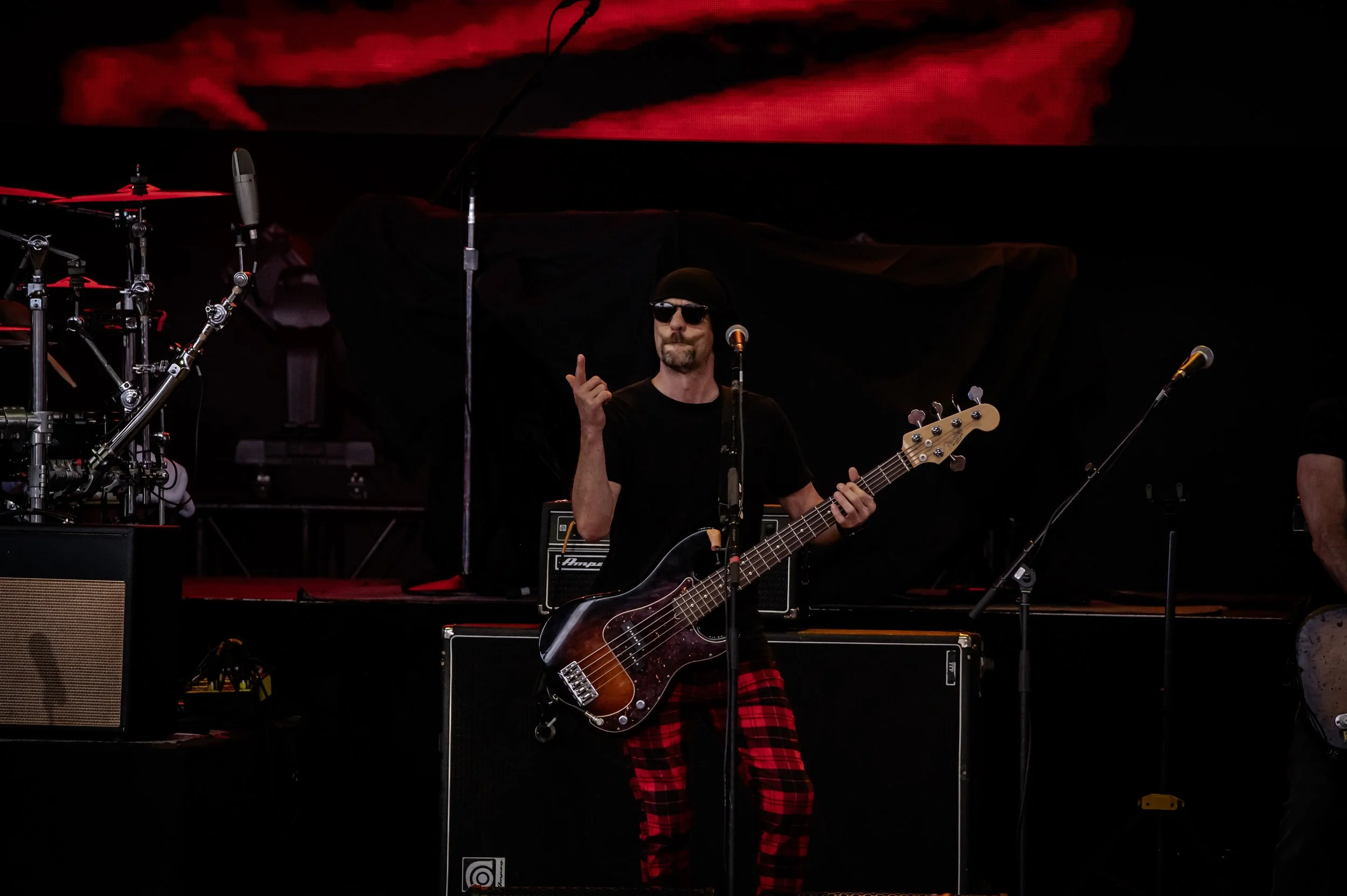 Rick Springfield_0979_150-600.jpg