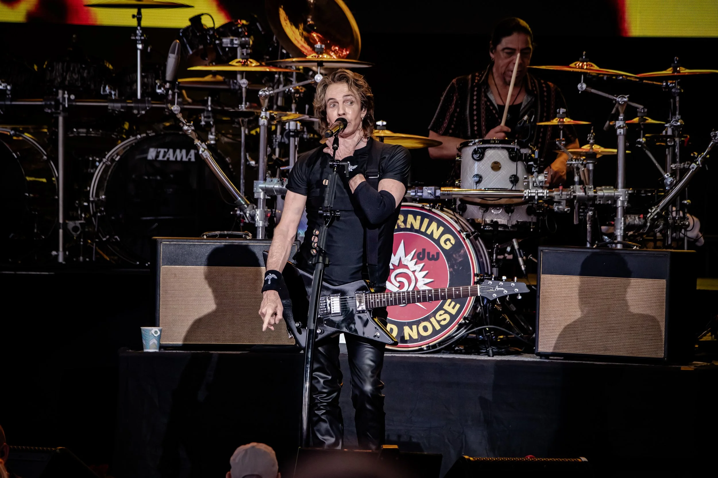 Rick Springfield_0988_150-600.jpg