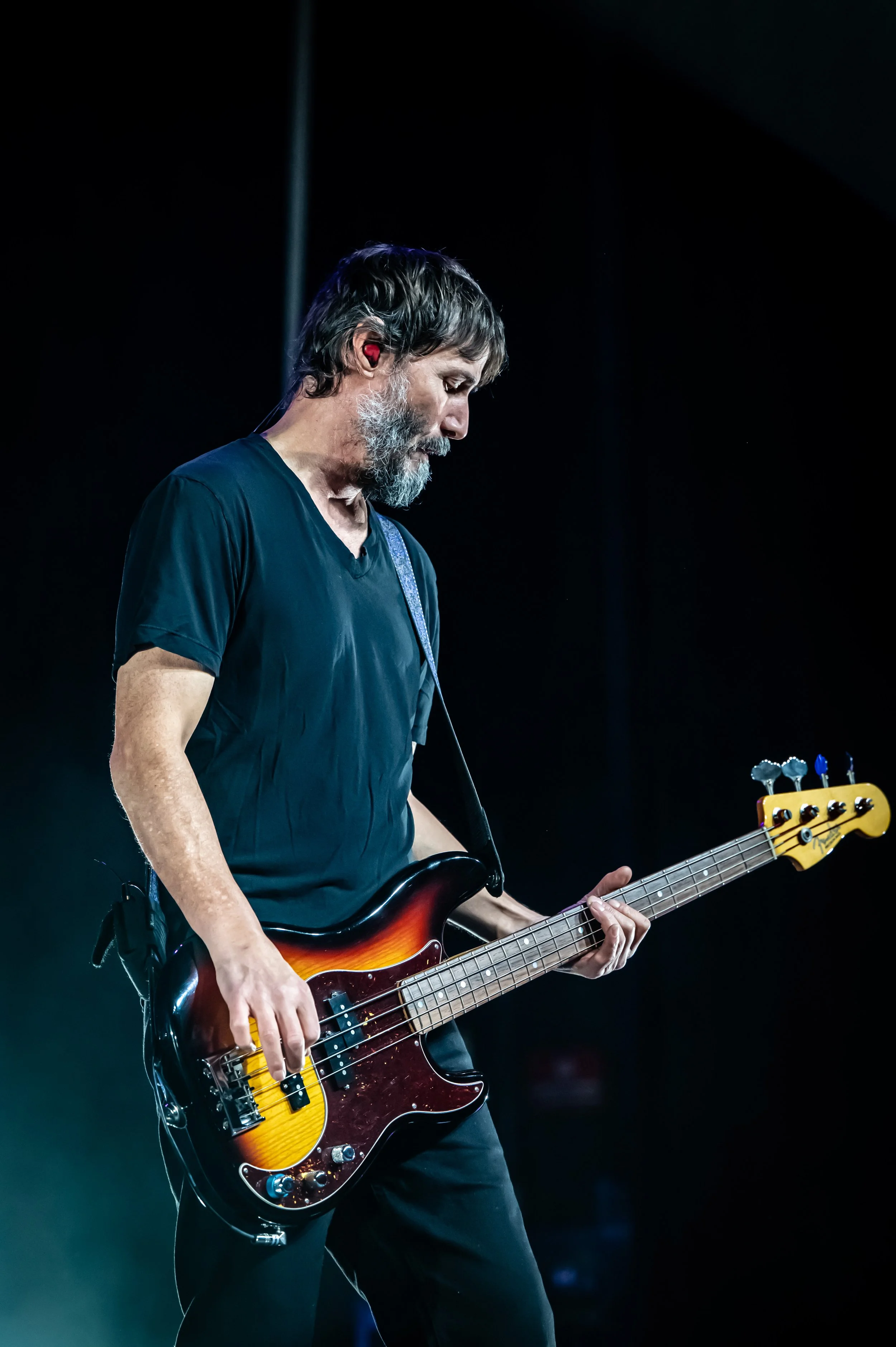 dogstar_0108_70-200.jpg