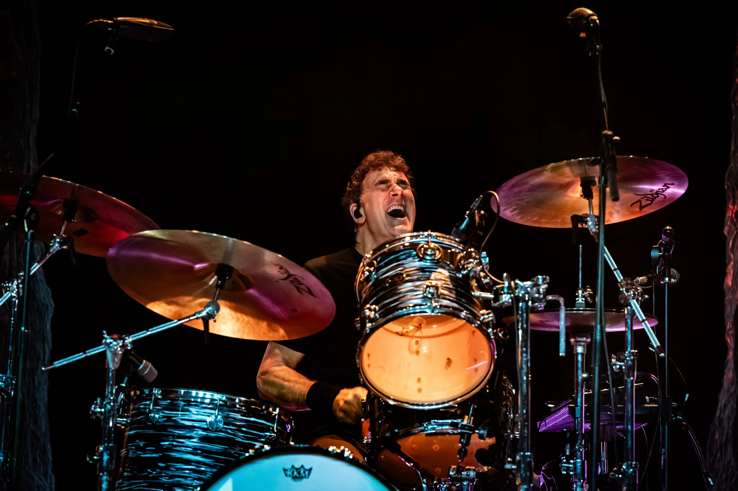 dogstar_0170_70-200.jpg
