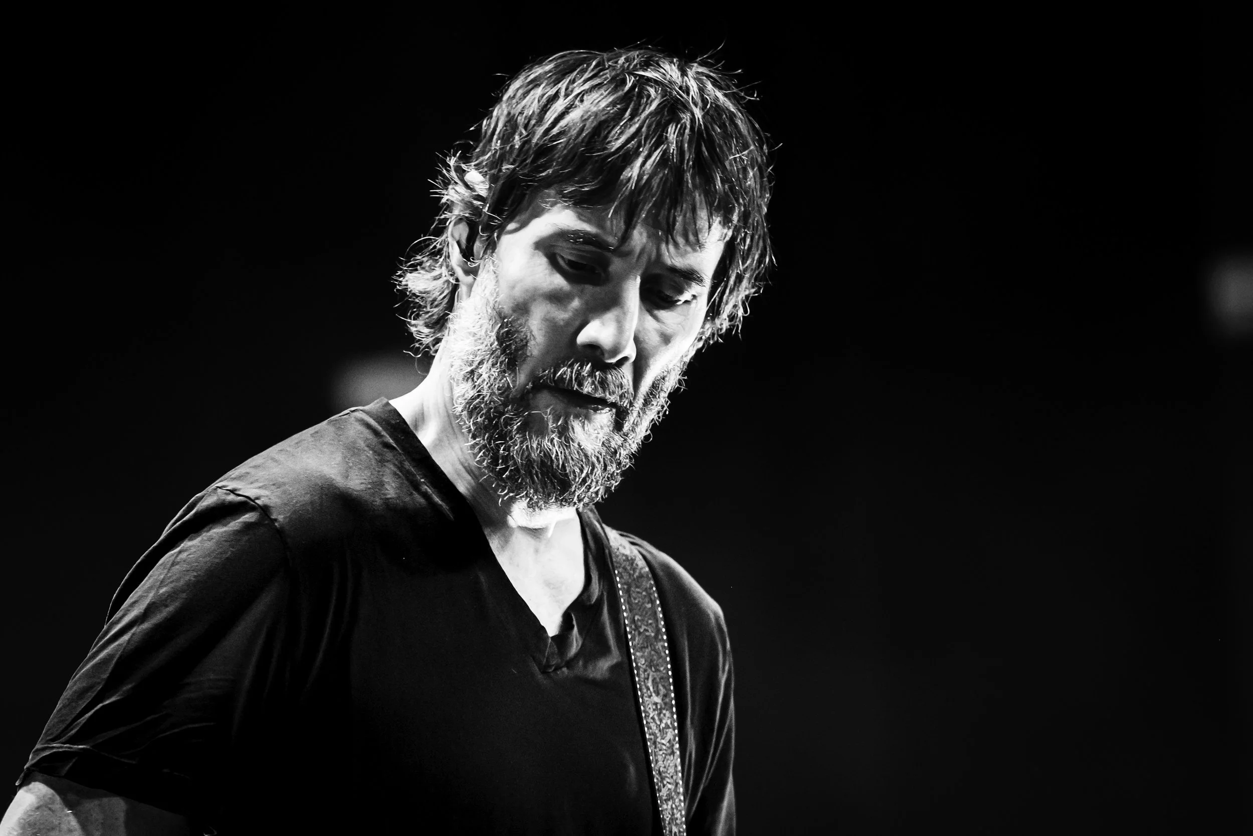 dogstar_0228_70-200.jpg