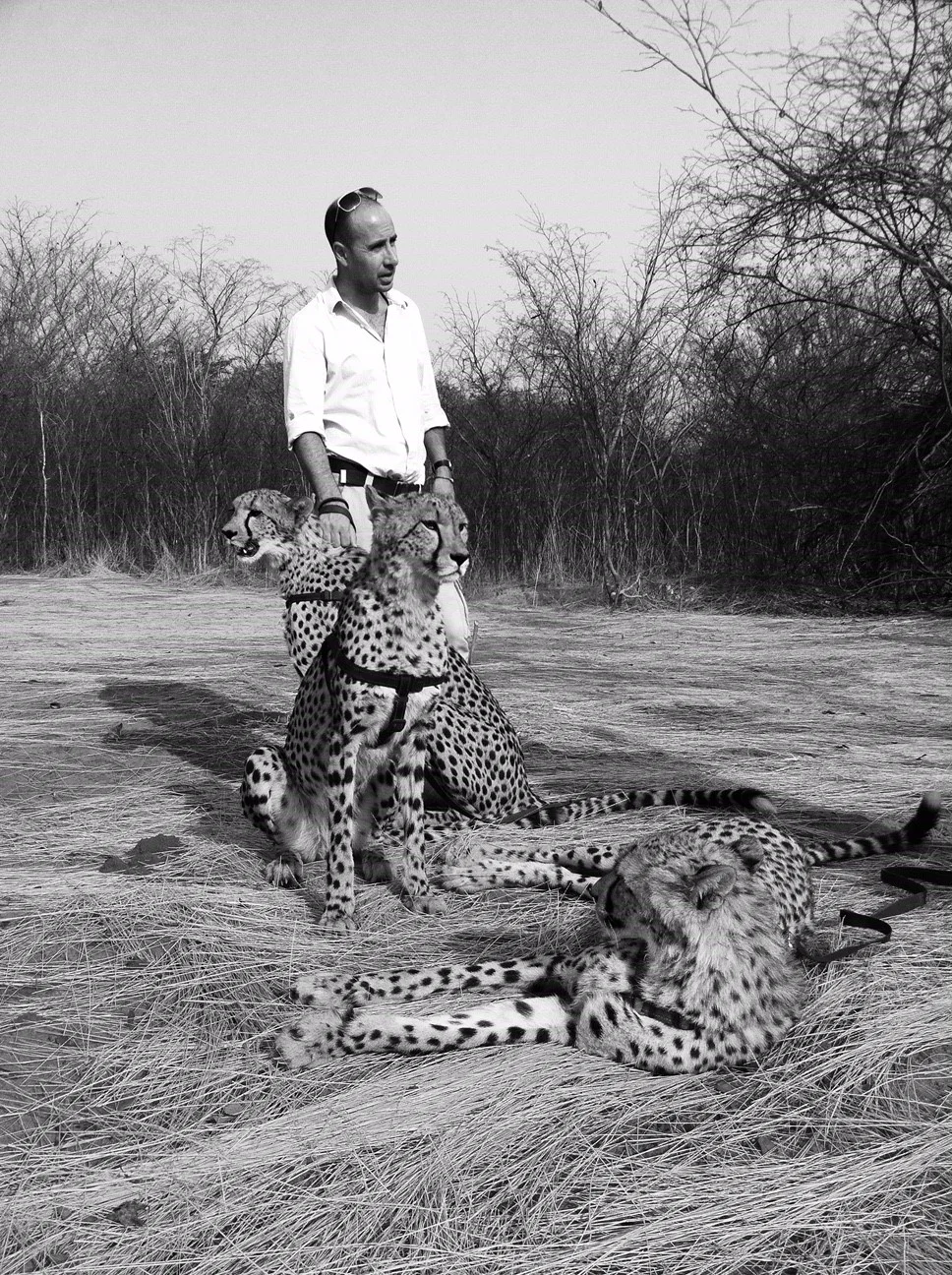 Sanctuary Lion Reserve, Zambia
