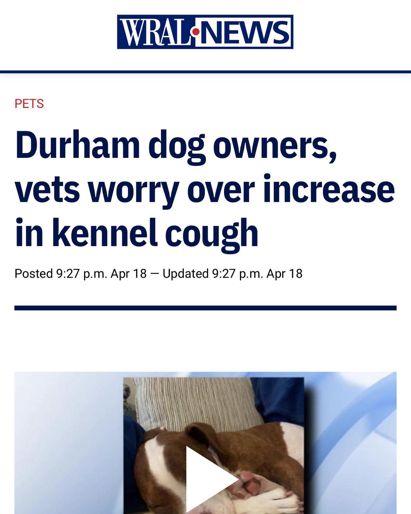 PSA 🗣️ 🐶 😷