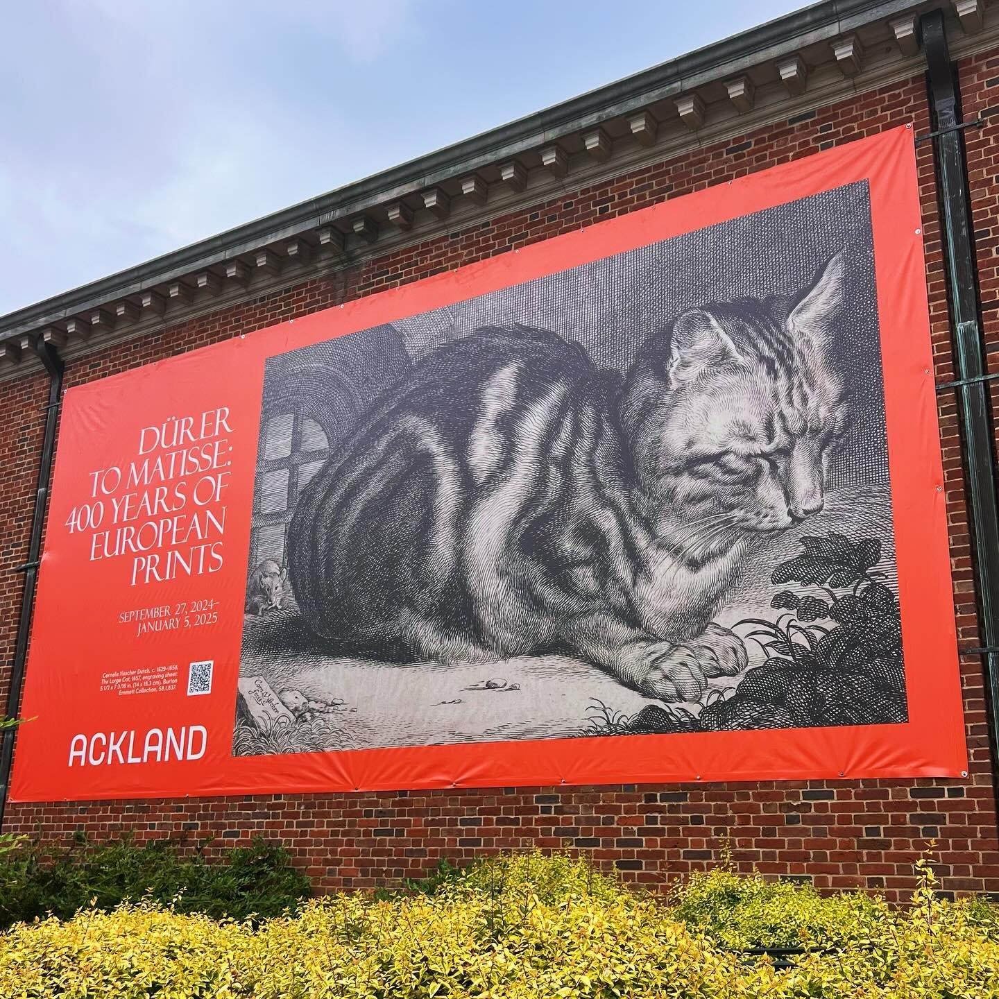 @ackland_art_museum