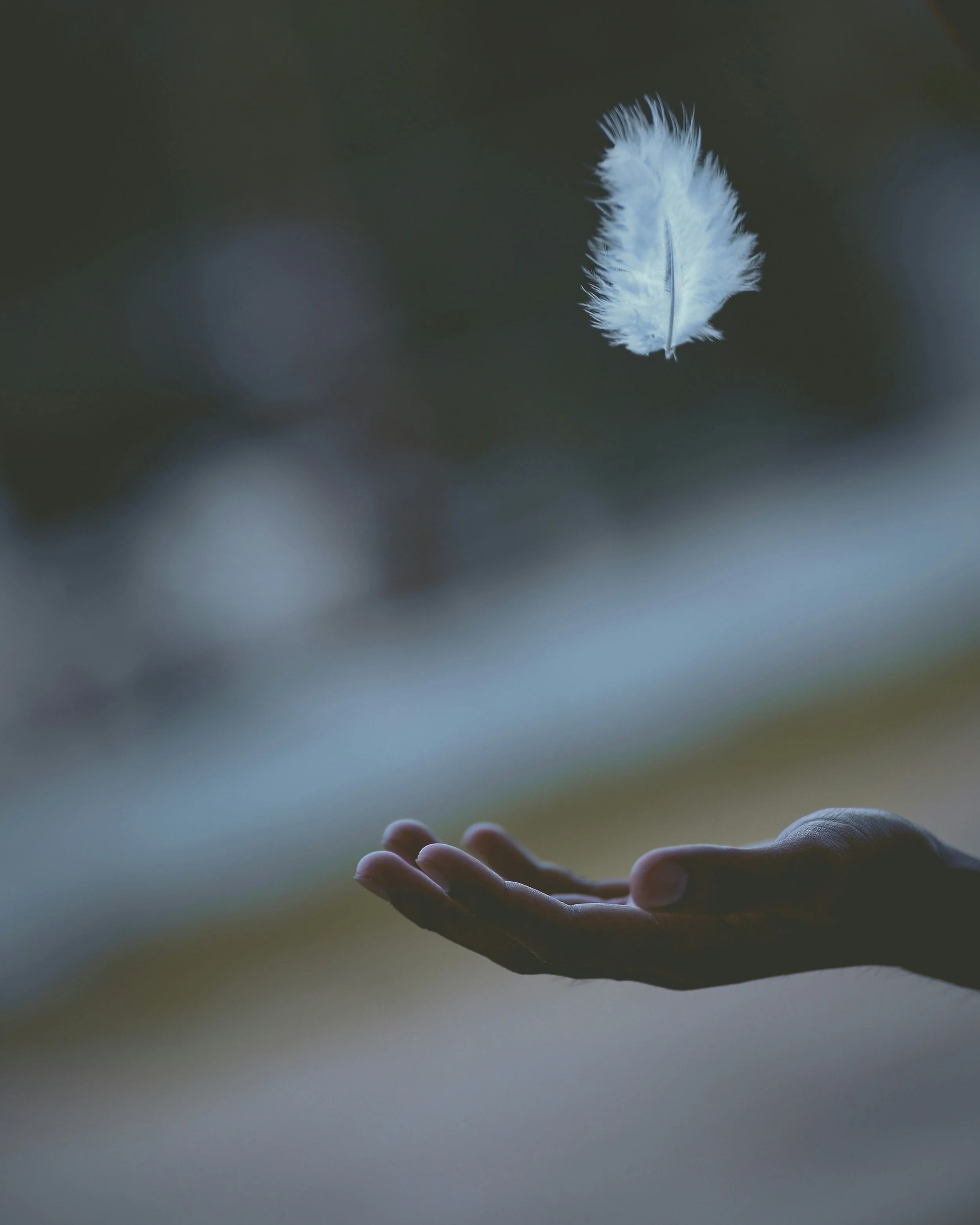 Hand releasing a feather, symbolizing letting go of over-functioning patterns and learning to put down what isn't yours to carry