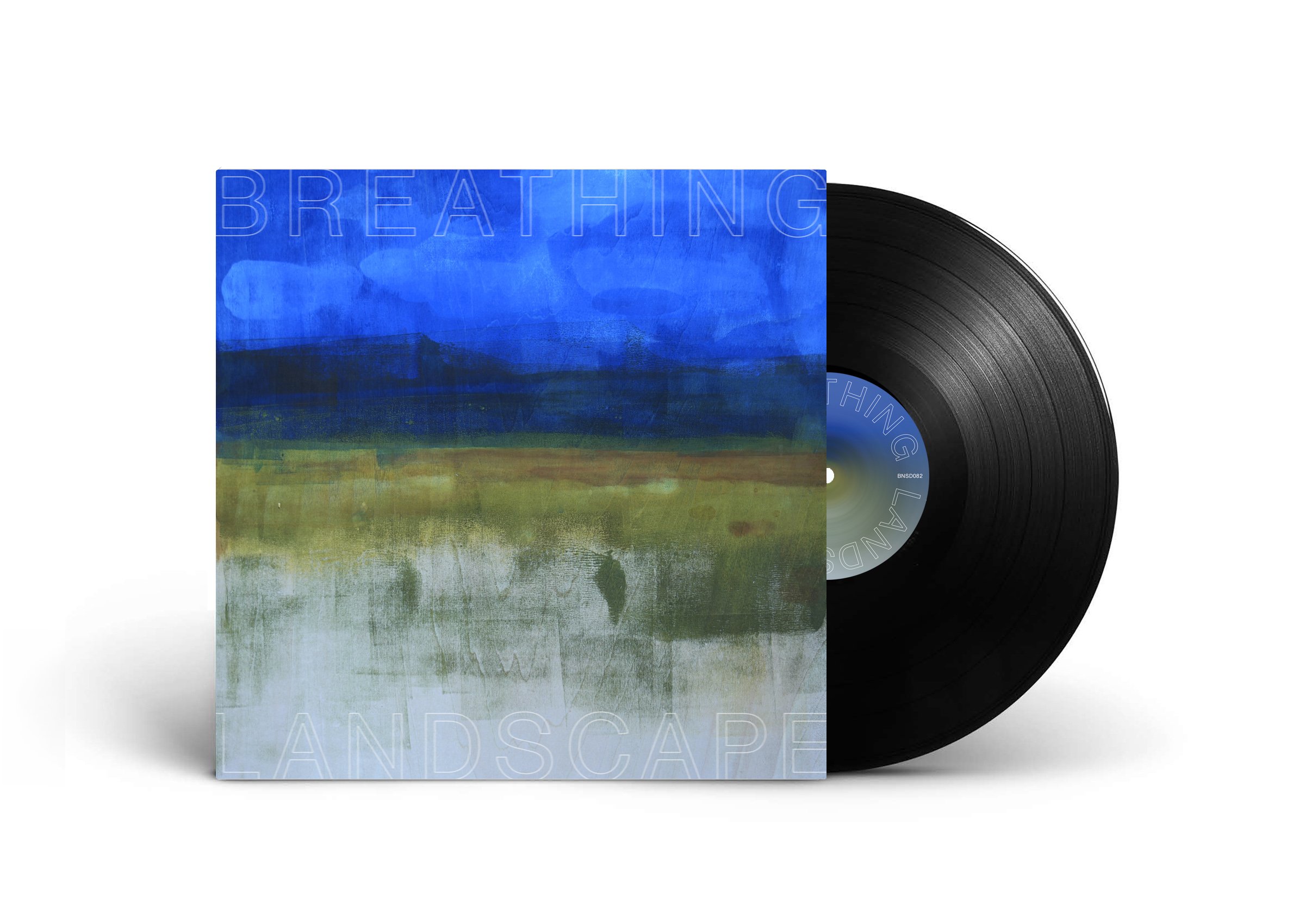 BNSD082 LP mockup A.jpg