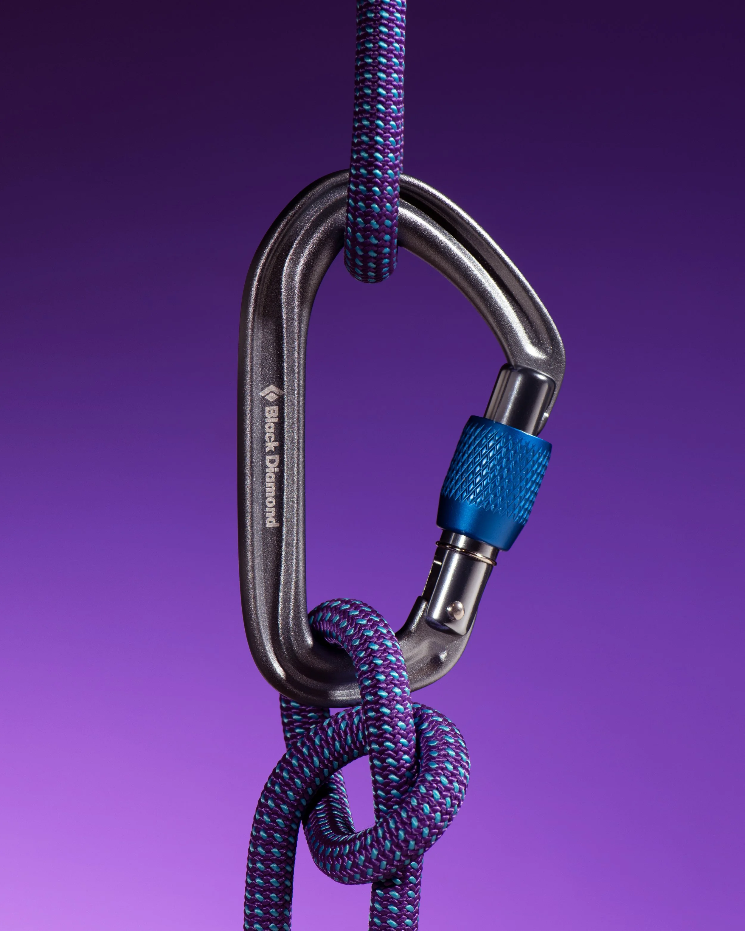 Black Diamond Hotforge Screwgate Carabiner