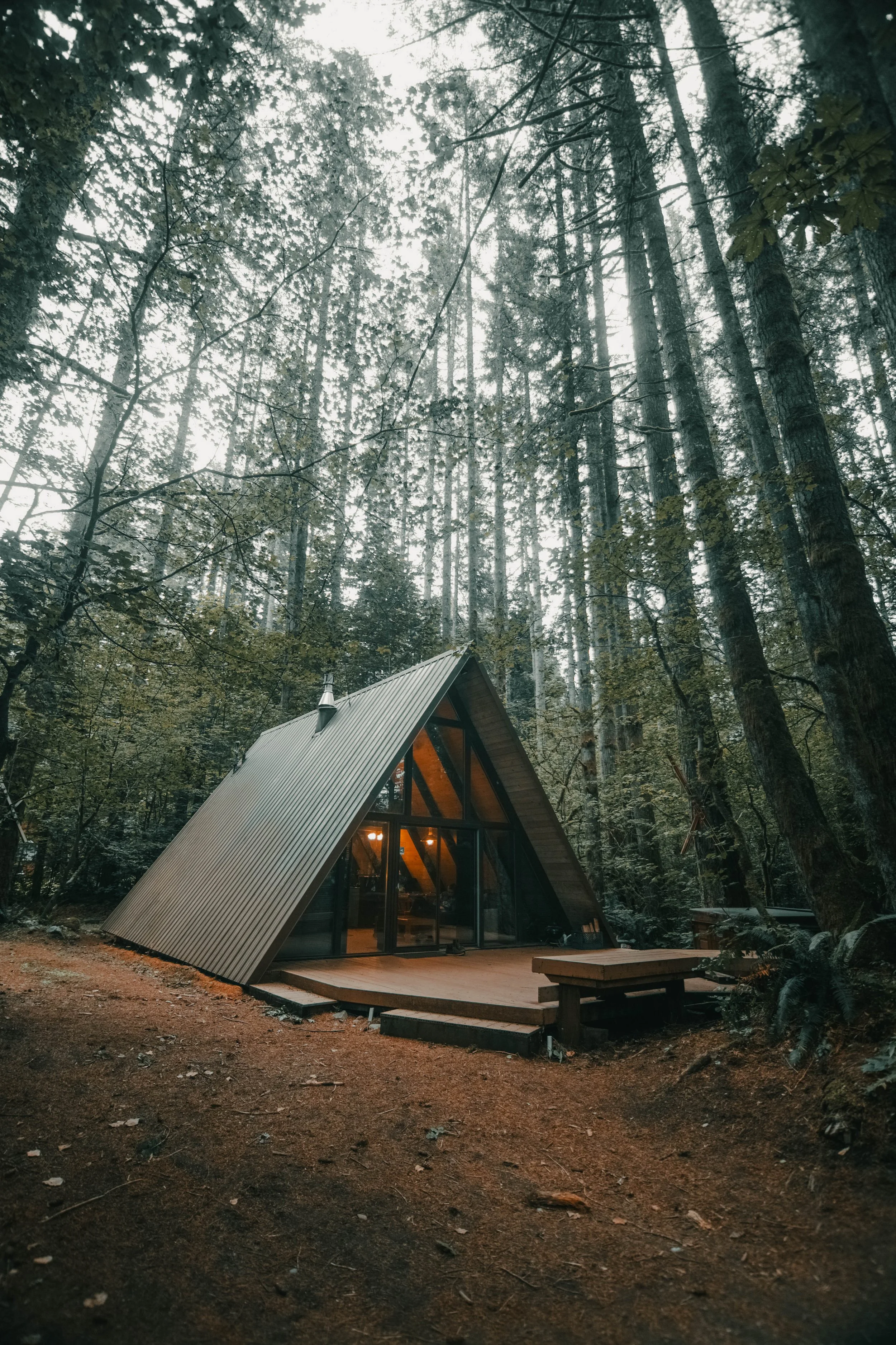 cabin0039.jpg