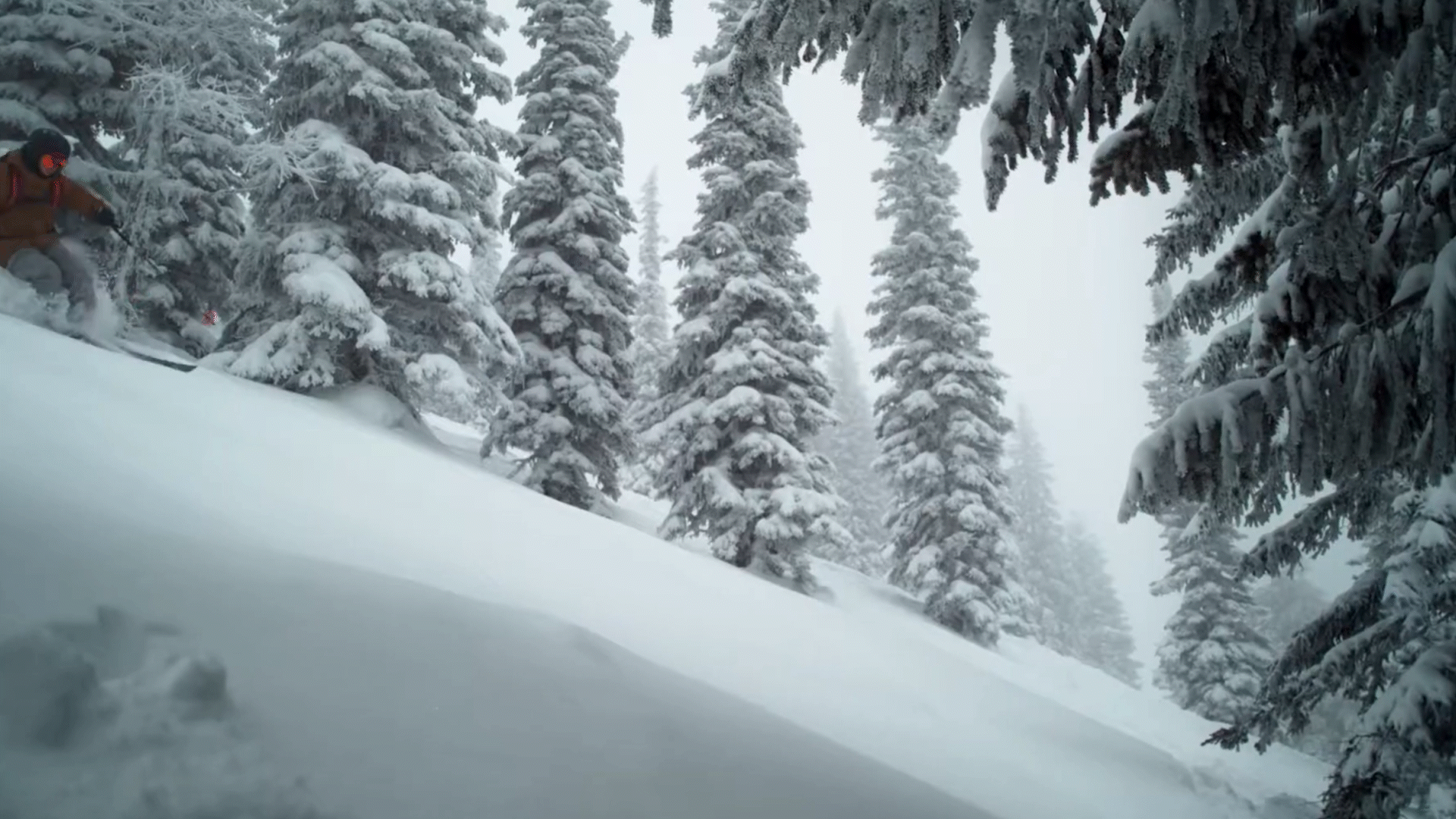 Comp 1.gif