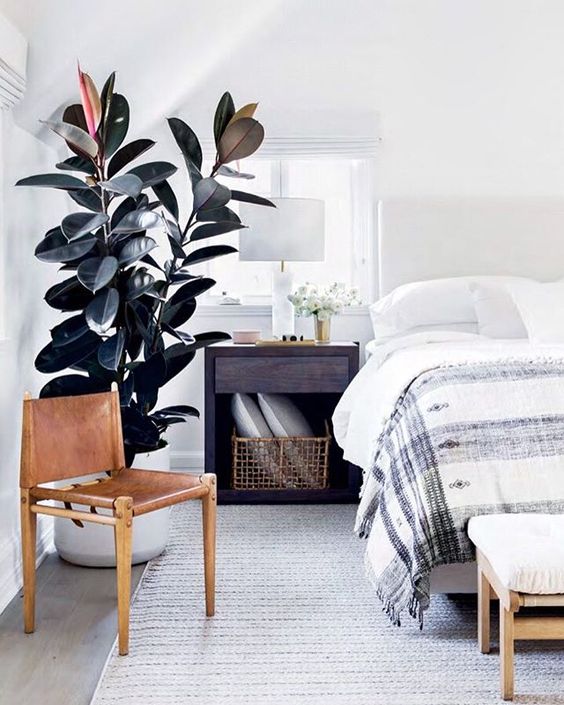 Photo via: Consort Design's Instagram