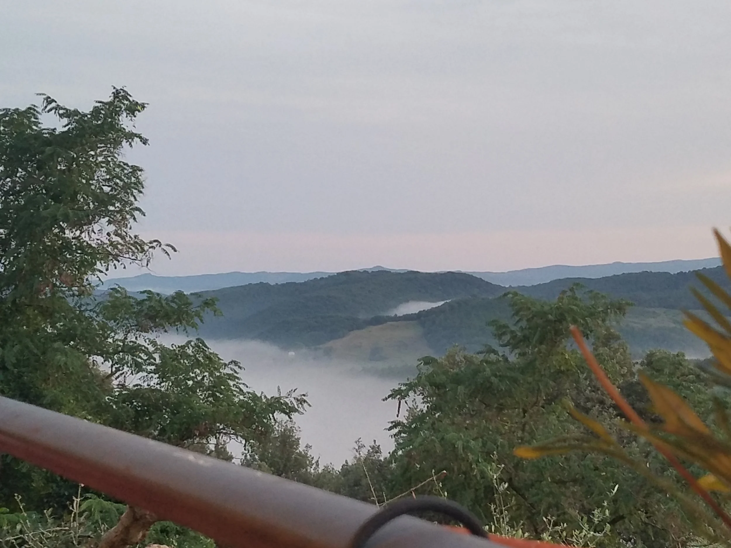 View from the table.jpg