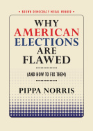Why American Elections are Flawed.jpg