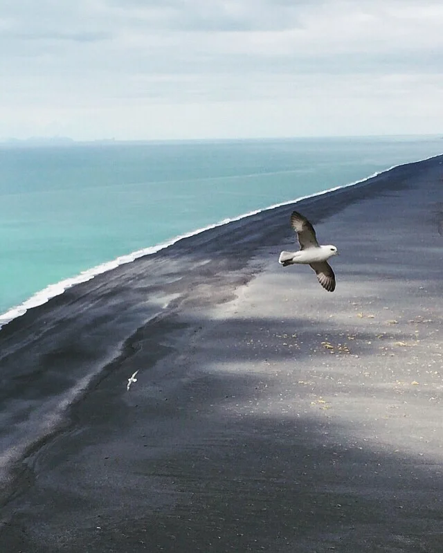 Dyrhólaey, Iceland