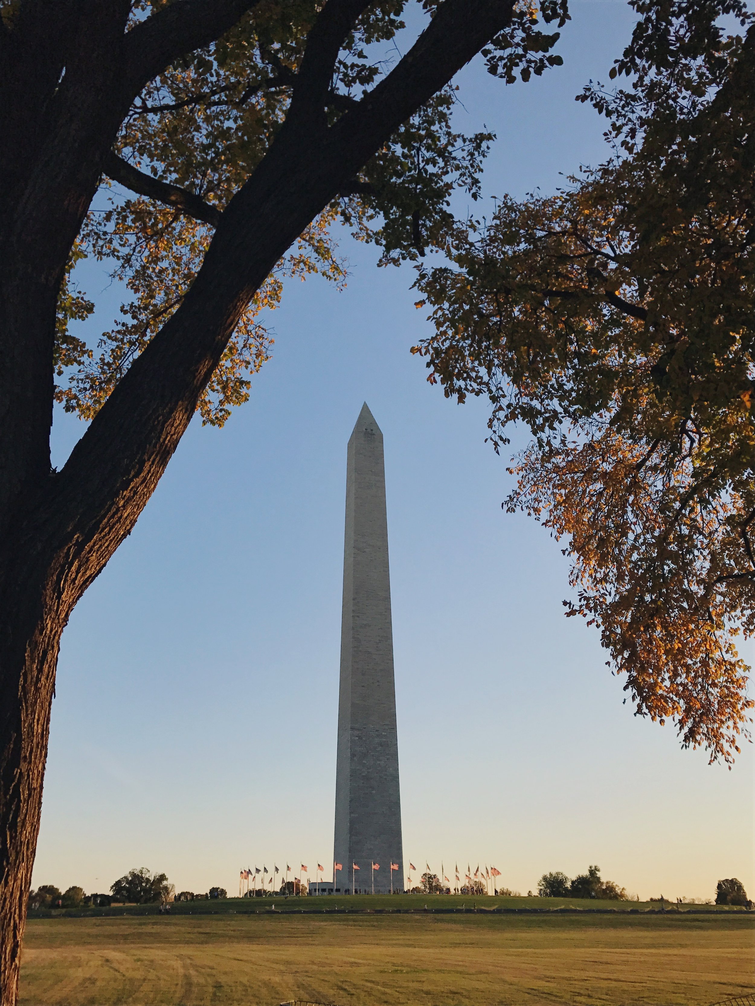 Washington, DC