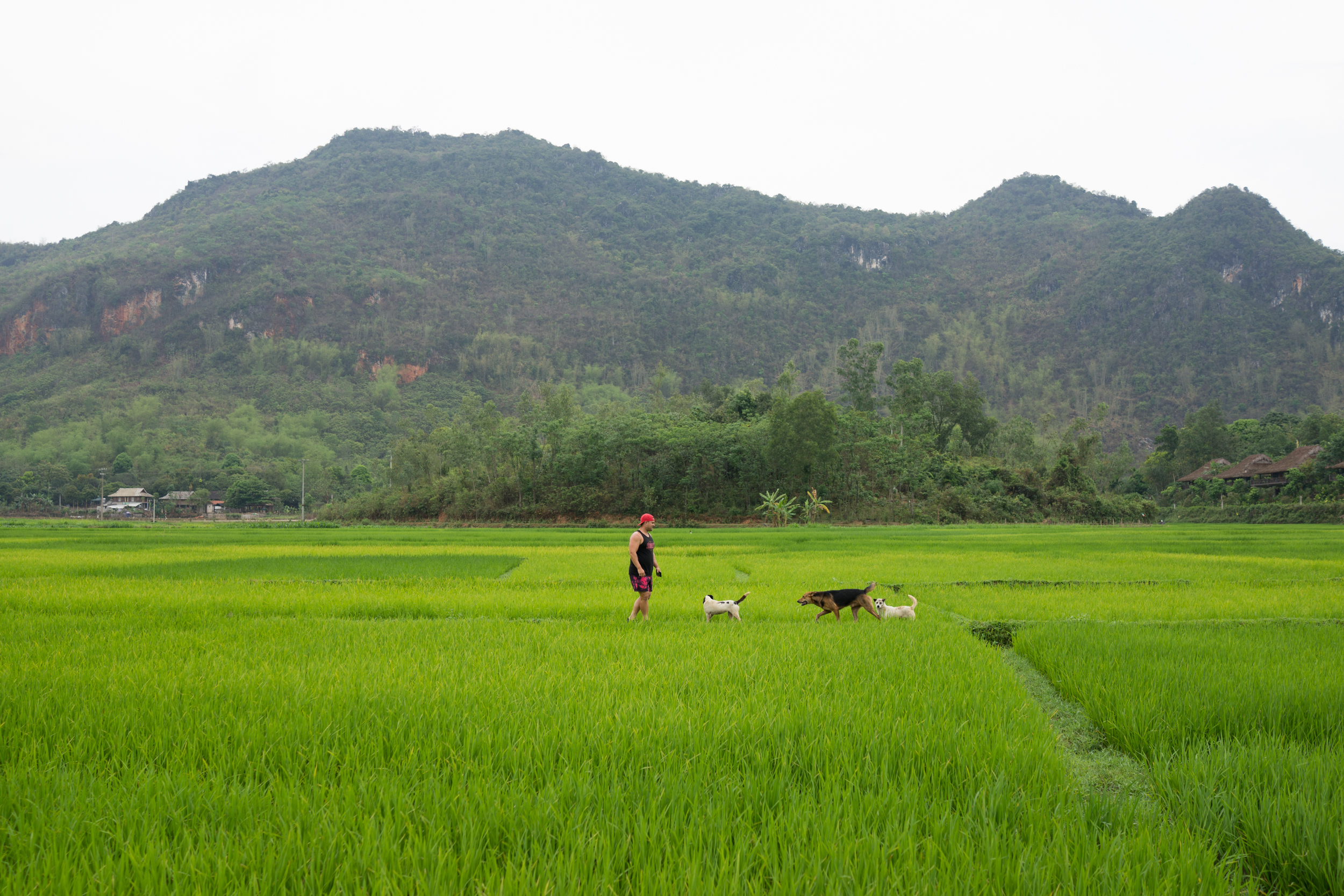 love-the-locals-vietnam-mai-chau-apr-2017_0009.JPG