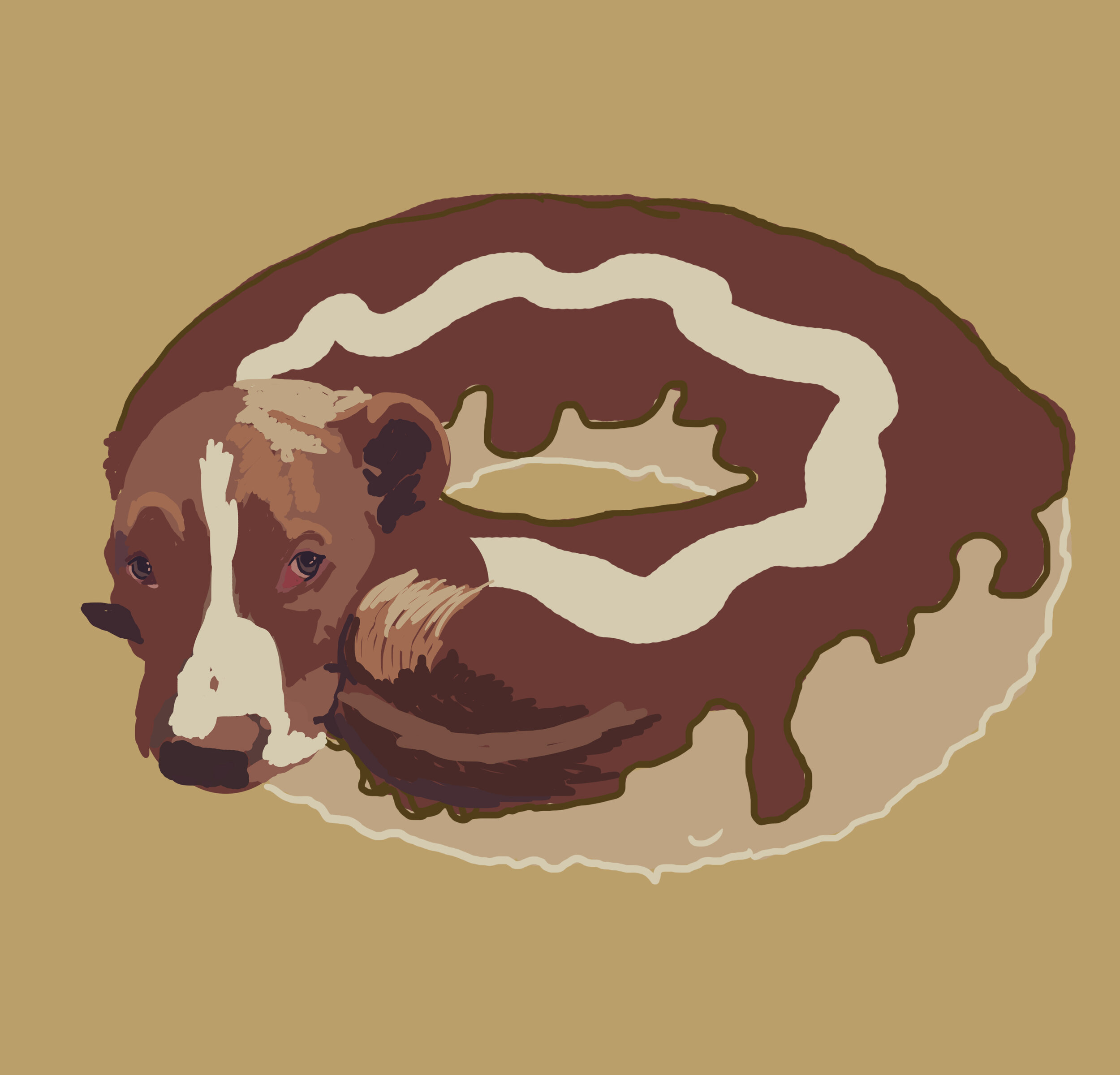 Carrick donut dog copy.jpg