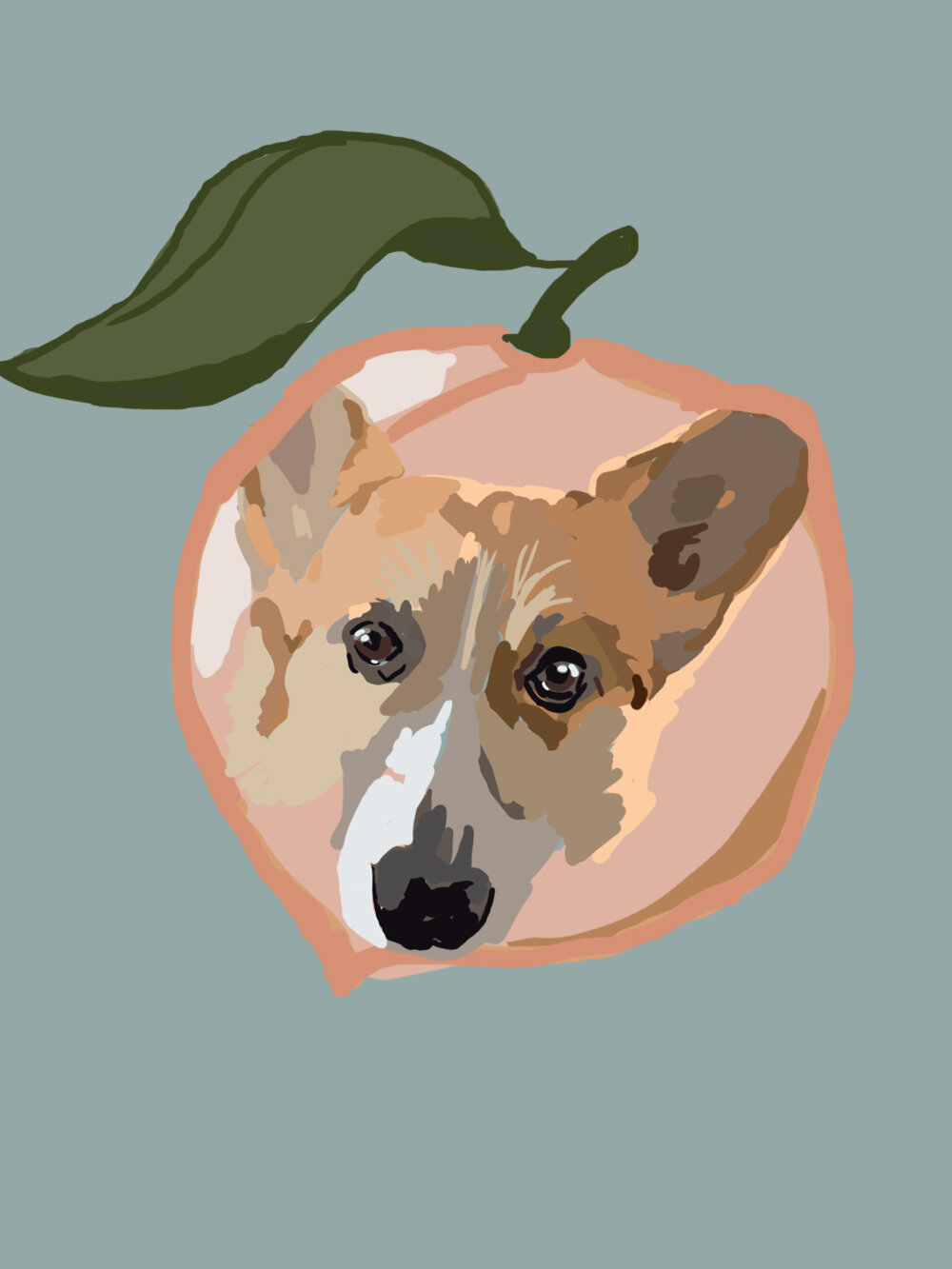 peach corgi copy.jpg