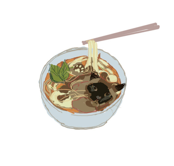 pho cat.jpg