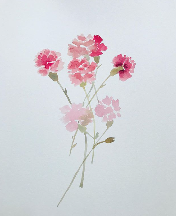 pink carnations.png