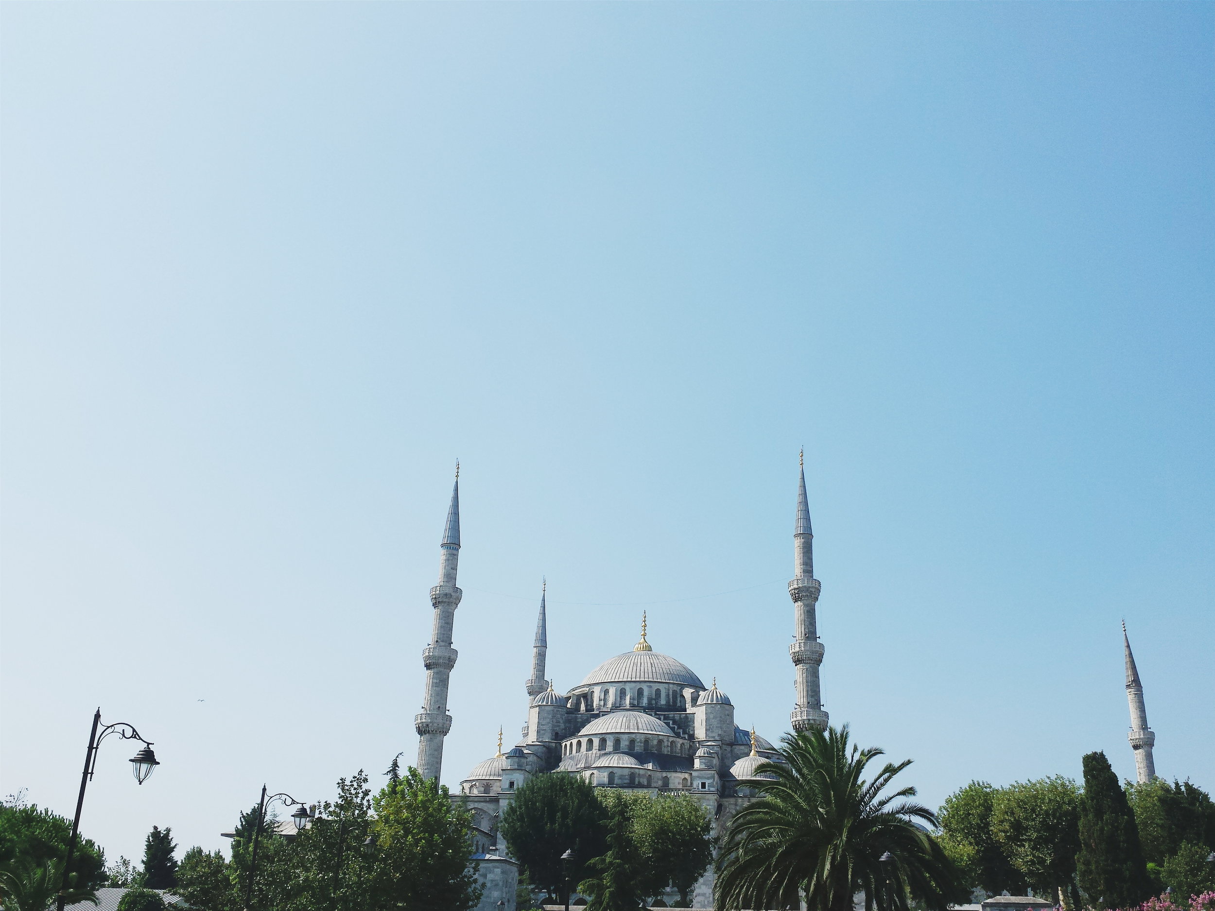 2014-08-28 01.06.42 1.jpg