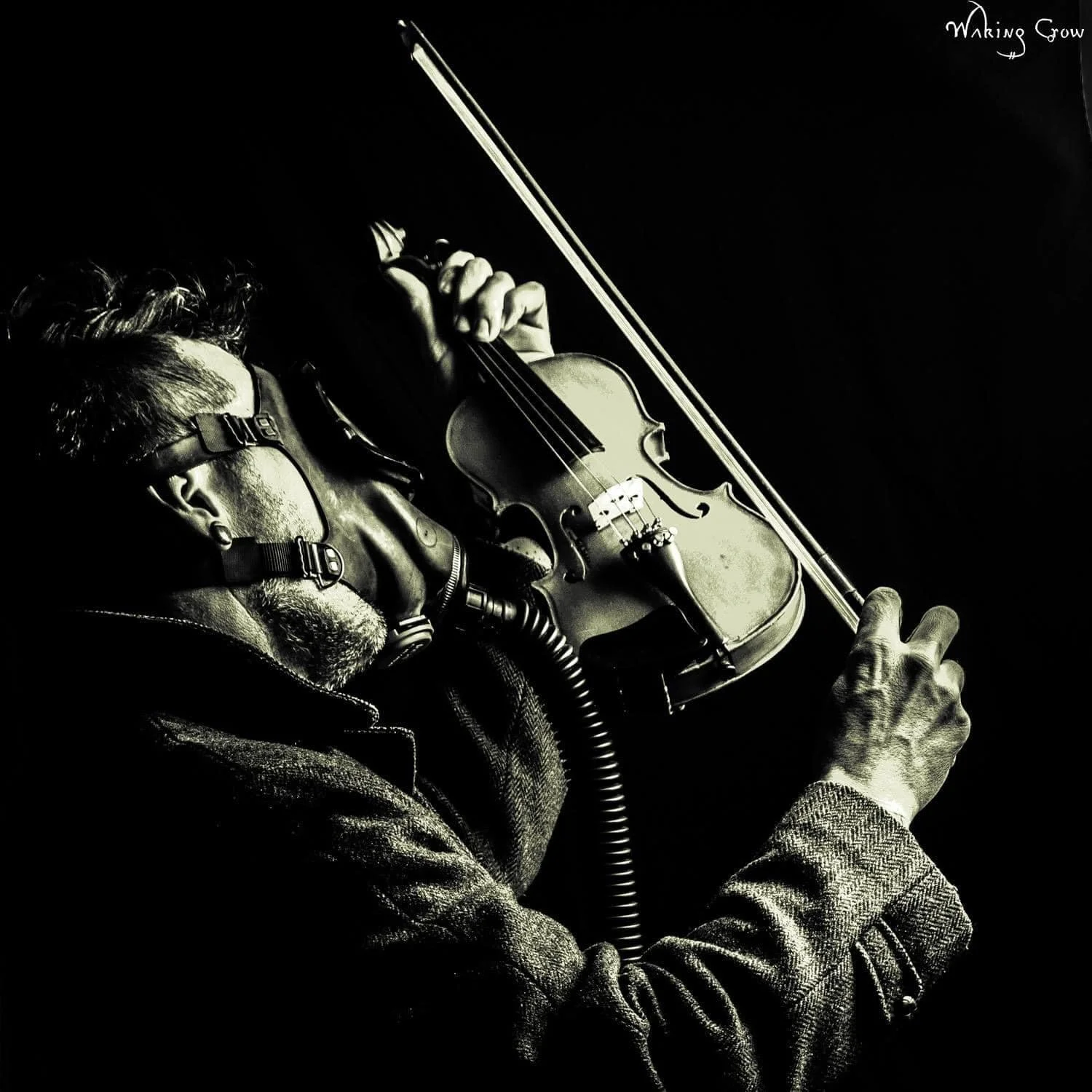 I wonder how many of you feel disconnected from all the division and vitriol these election cycles provoke? To me, it feels like we&rsquo;re being played by both sides, and no one seems interested in healing this rift in society. It feels like a dist